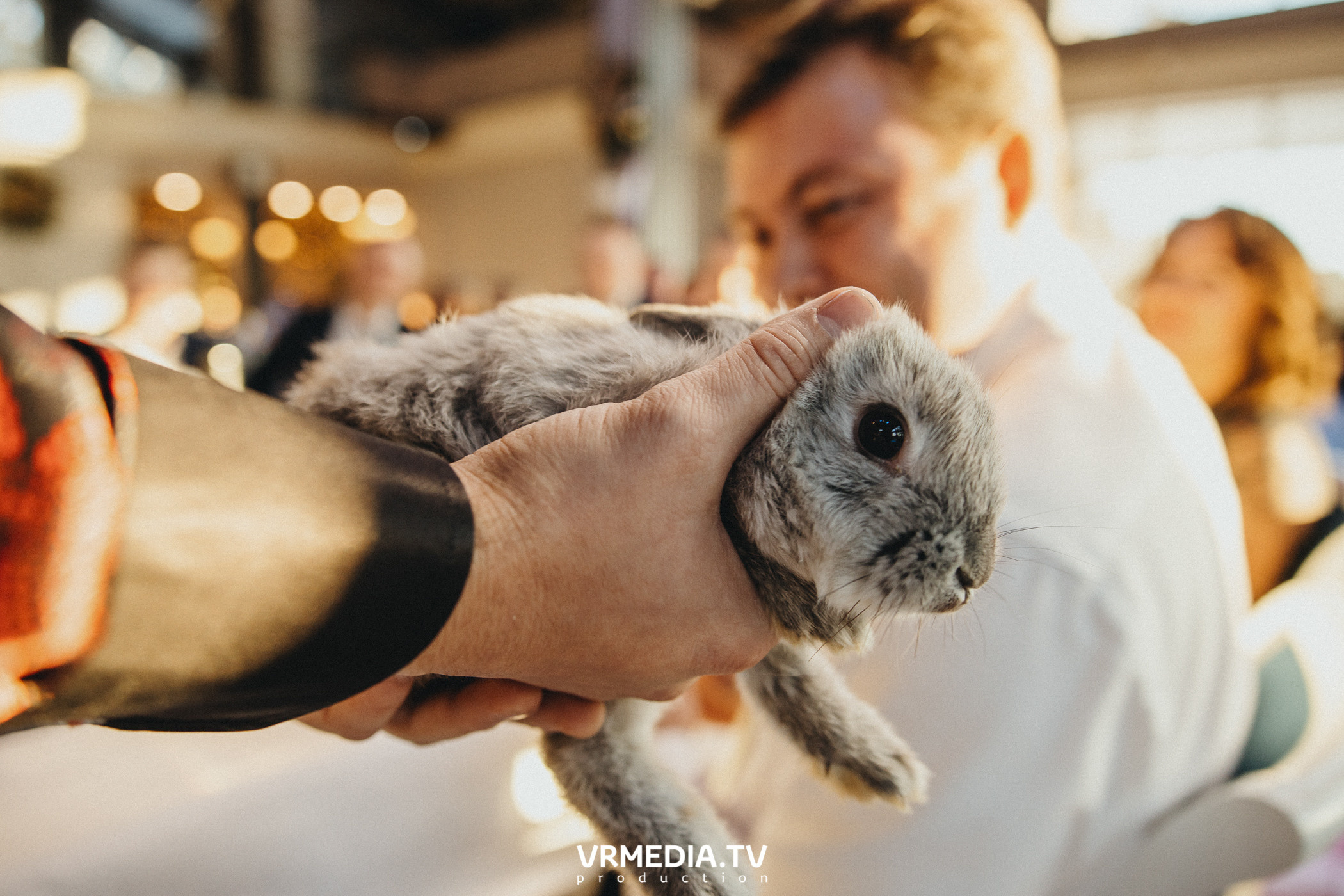 Новогодние вечера в эко-отеле «Лукоморье»