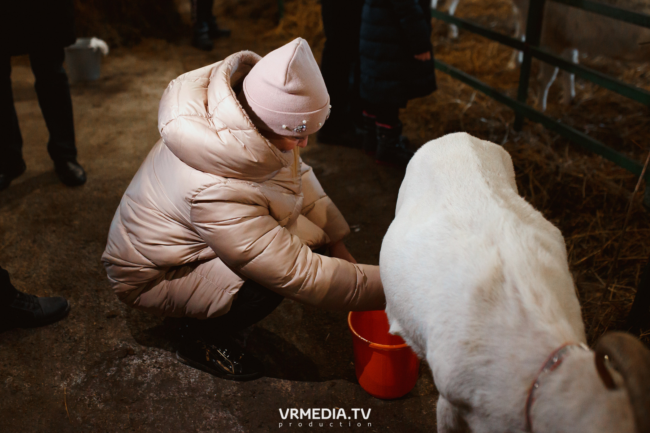 Экскурсия — дегустация на «Сыроварне Лобанова»