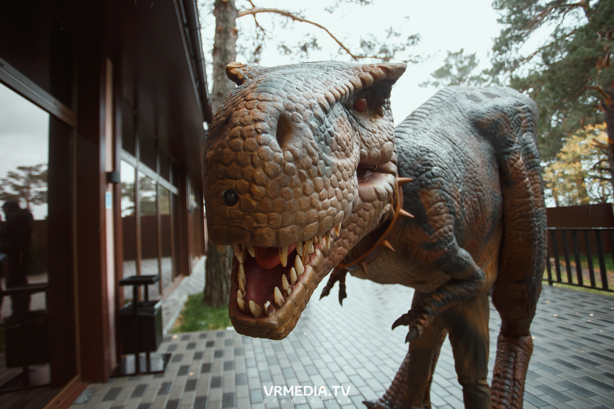 «Джуманджи» в эко-отеле «Лукоморье»