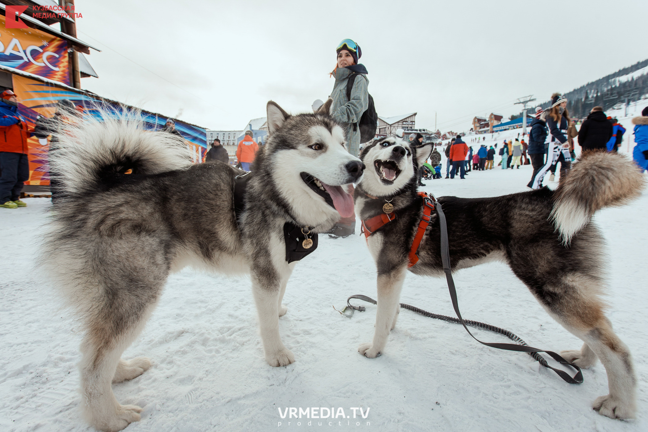 Шерегеш Фест 2020