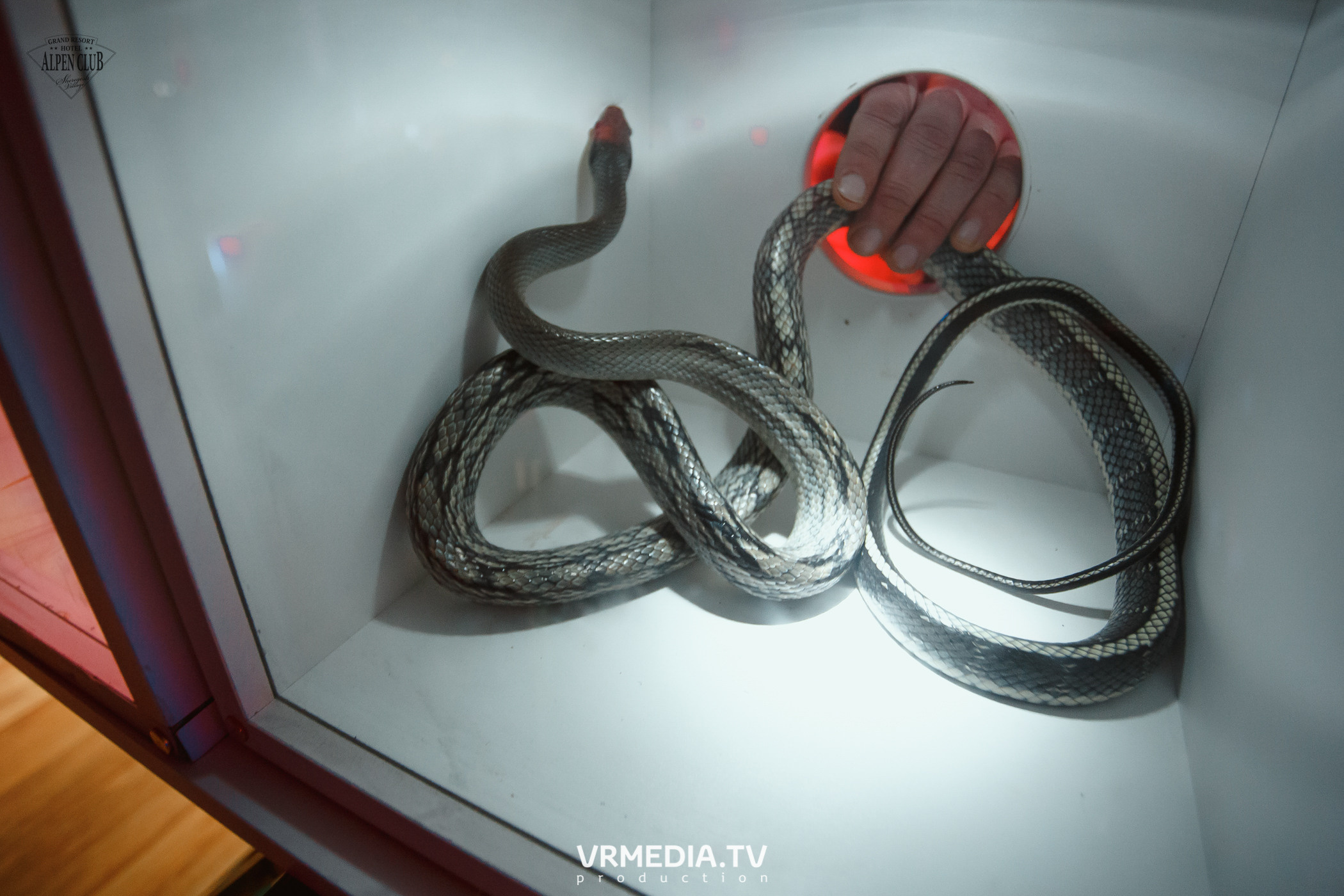 Выходные в Alpen Club