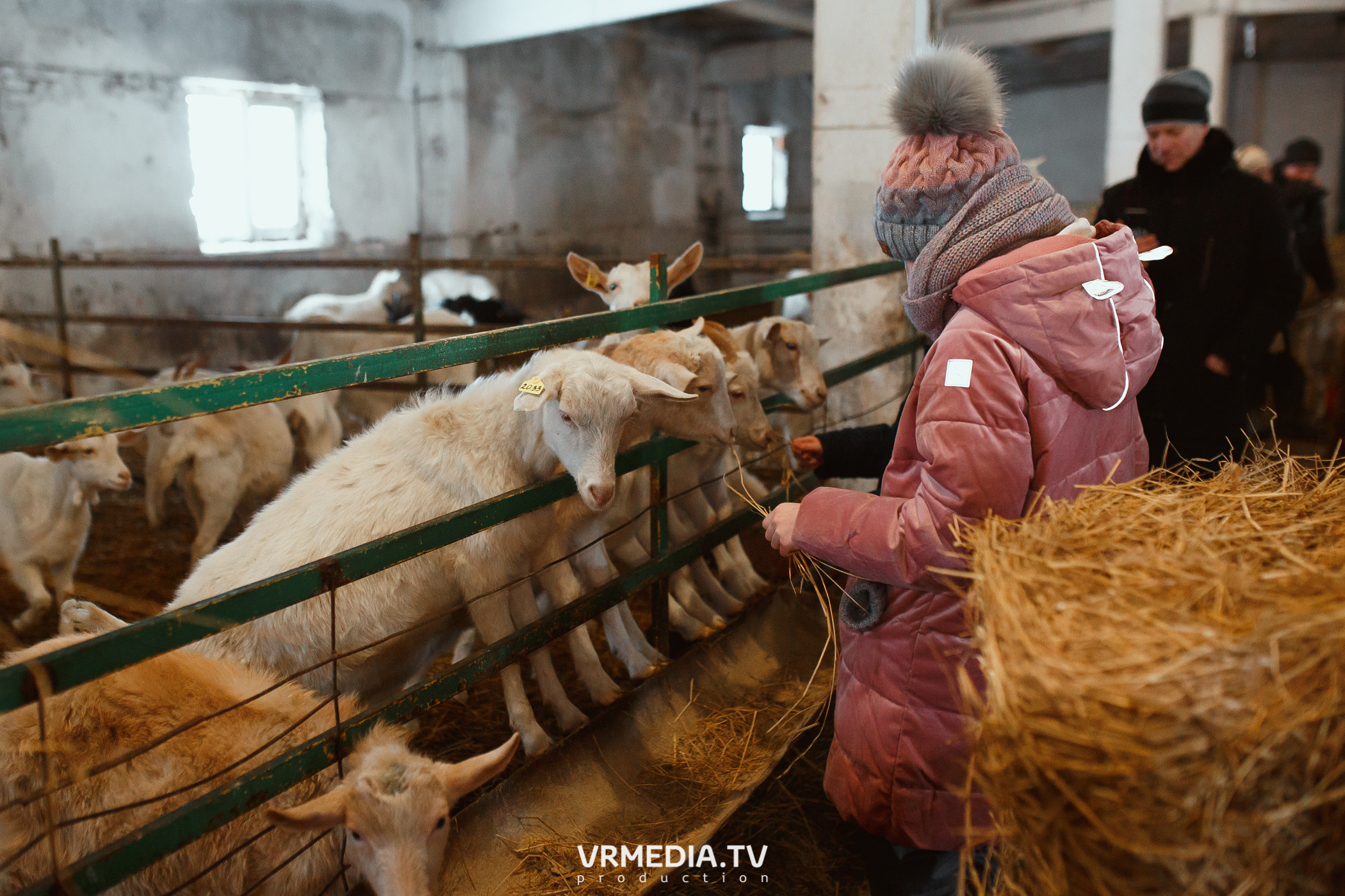 Экскурсия — дегустация на «Сыроварне Лобанова»