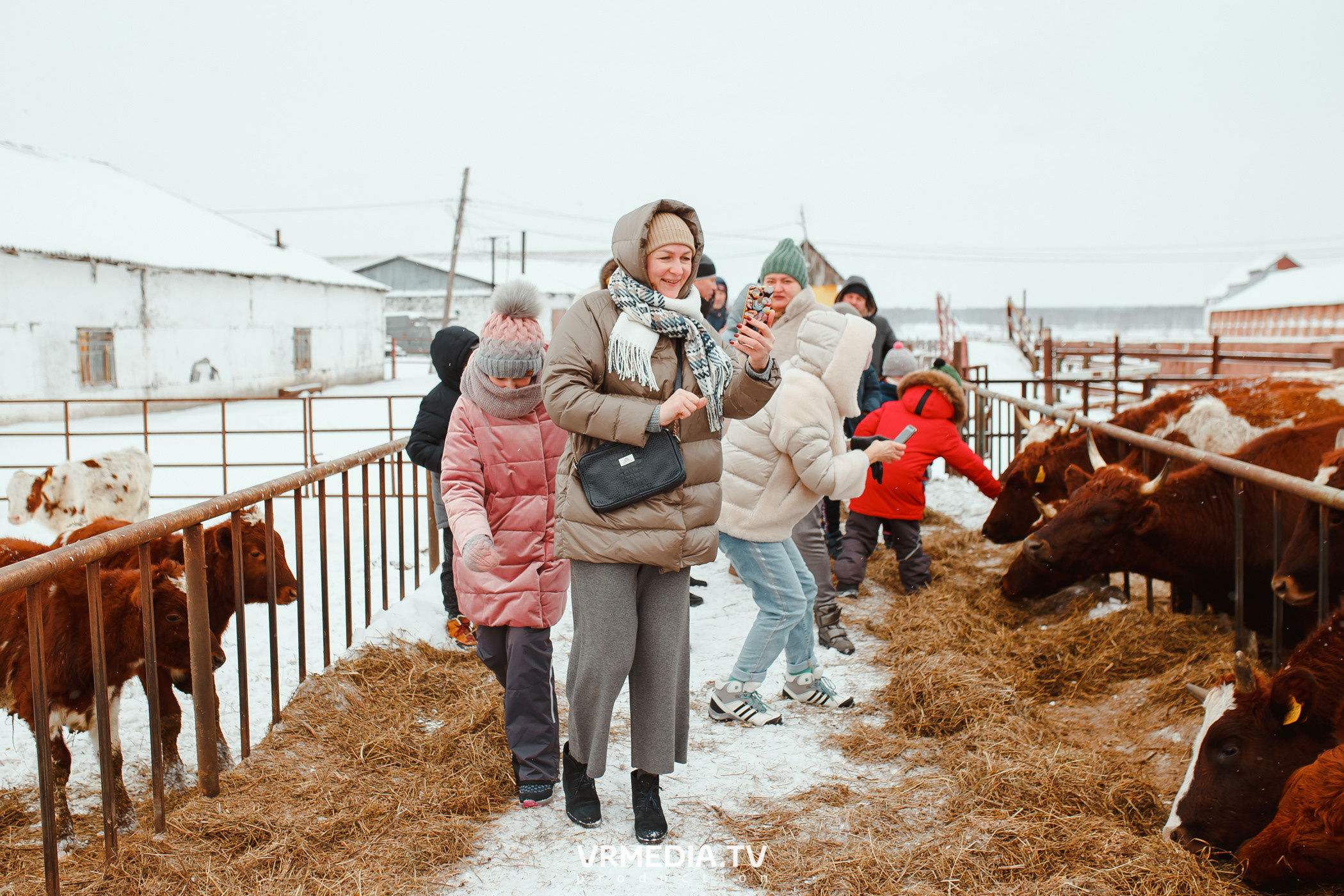 Экскурсия — дегустация на «Сыроварне Лобанова»