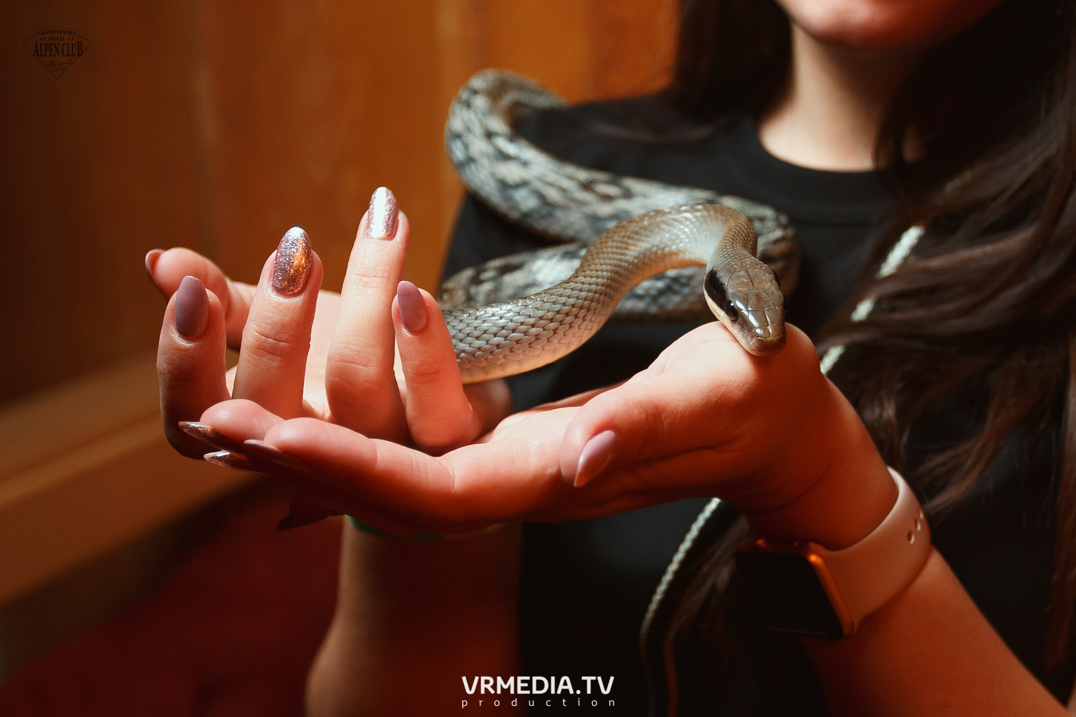 Выходные в Alpen Club