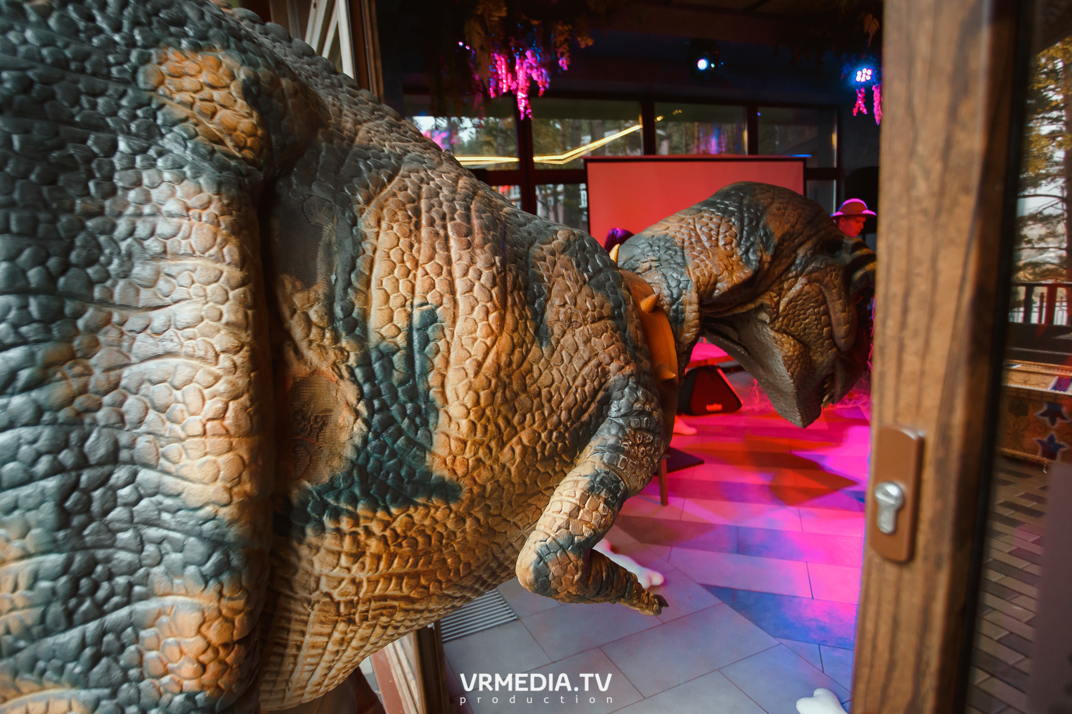 «Джуманджи» в эко-отеле «Лукоморье»