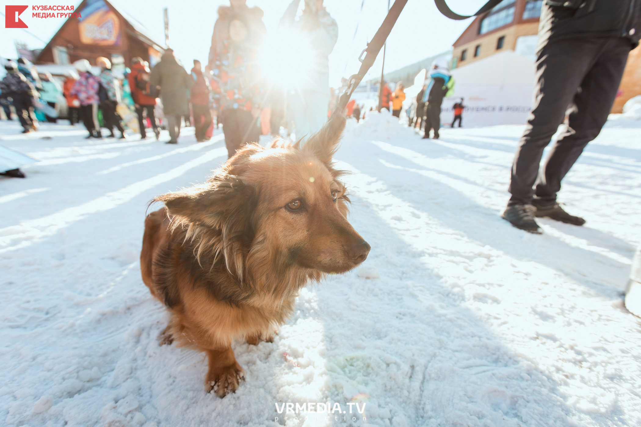 Шерегеш Фест 2020