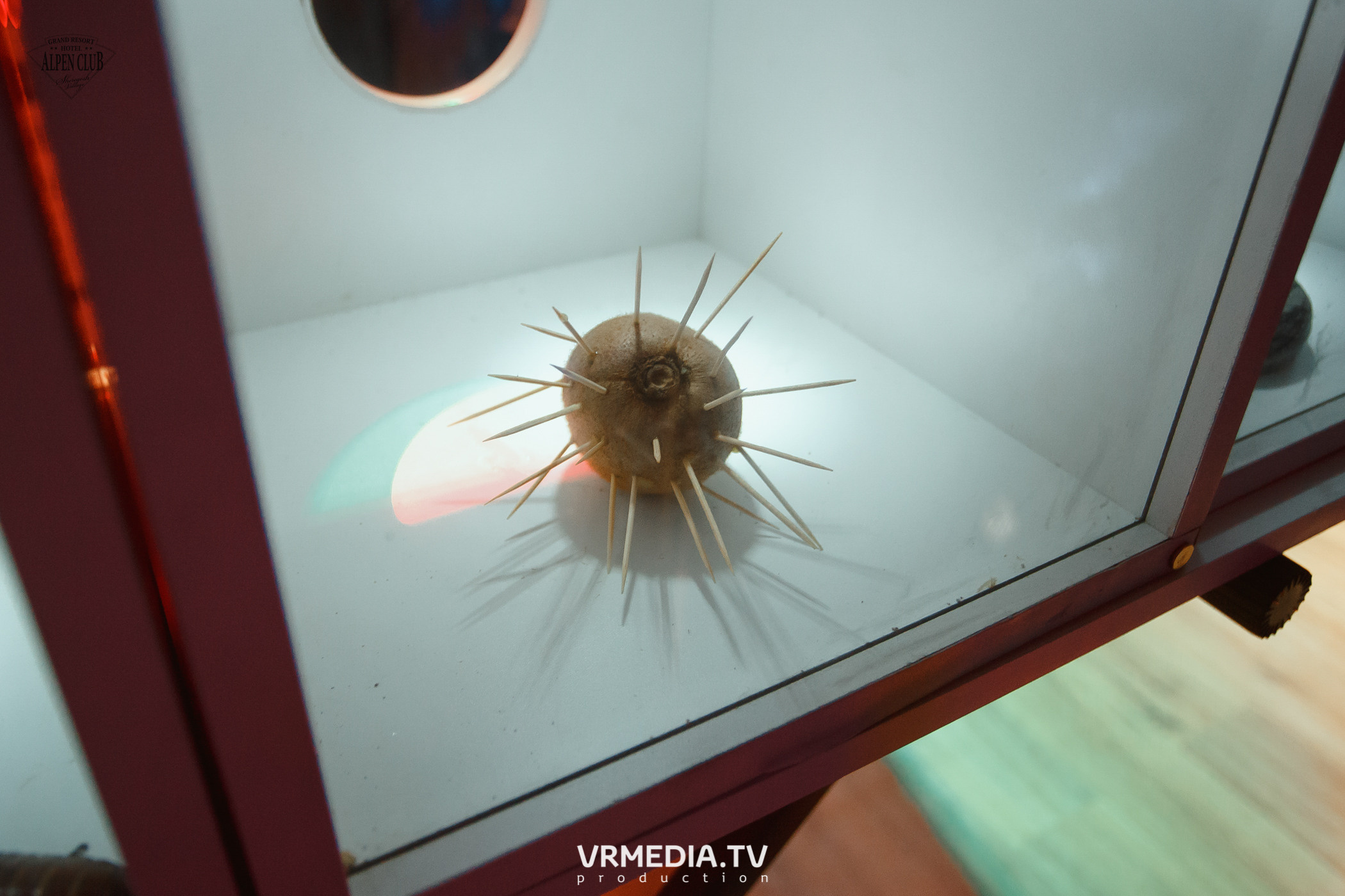 Выходные в Alpen Club