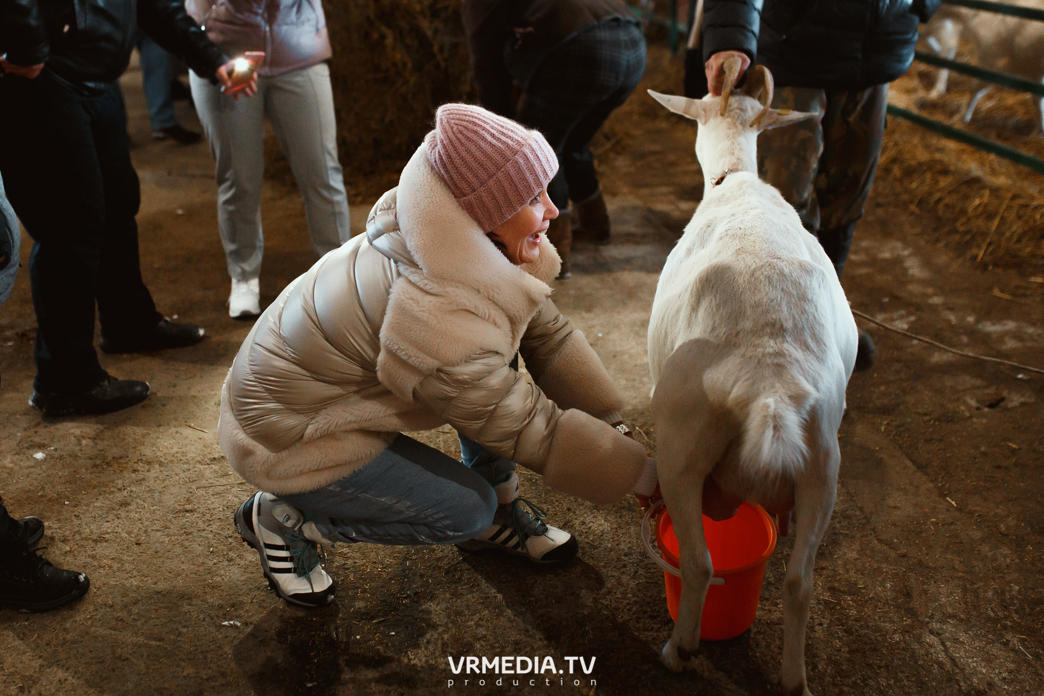 Экскурсия — дегустация на «Сыроварне Лобанова»