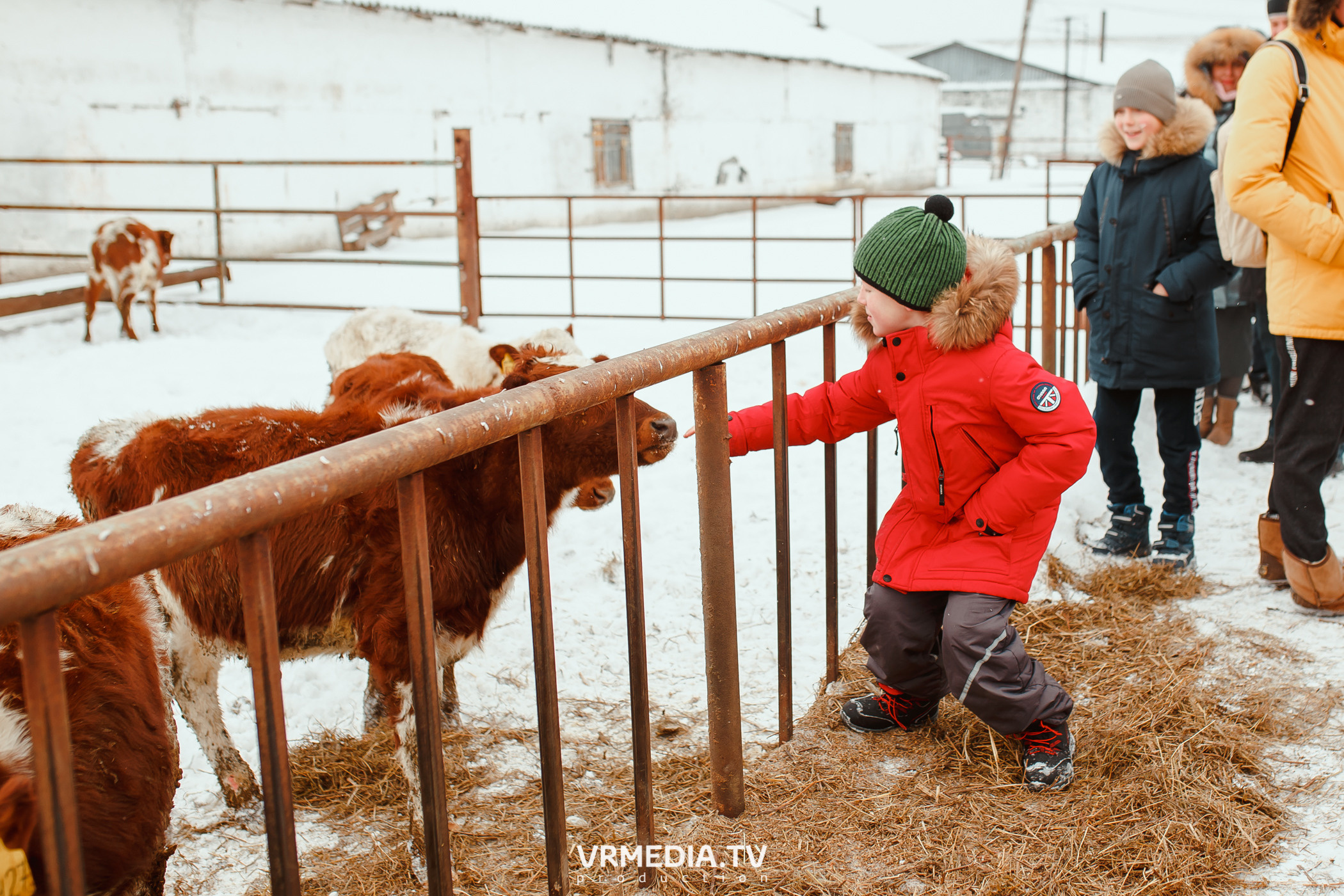Экскурсия — дегустация на «Сыроварне Лобанова»