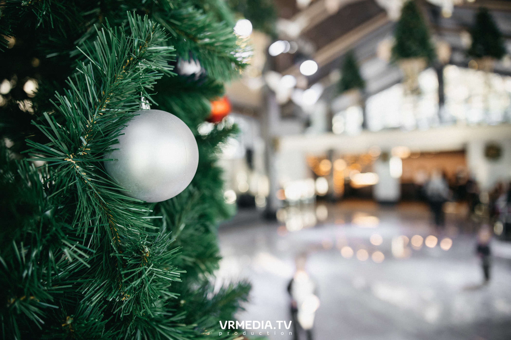 Детская вечеринка в эко-отеле «Лукоморье»