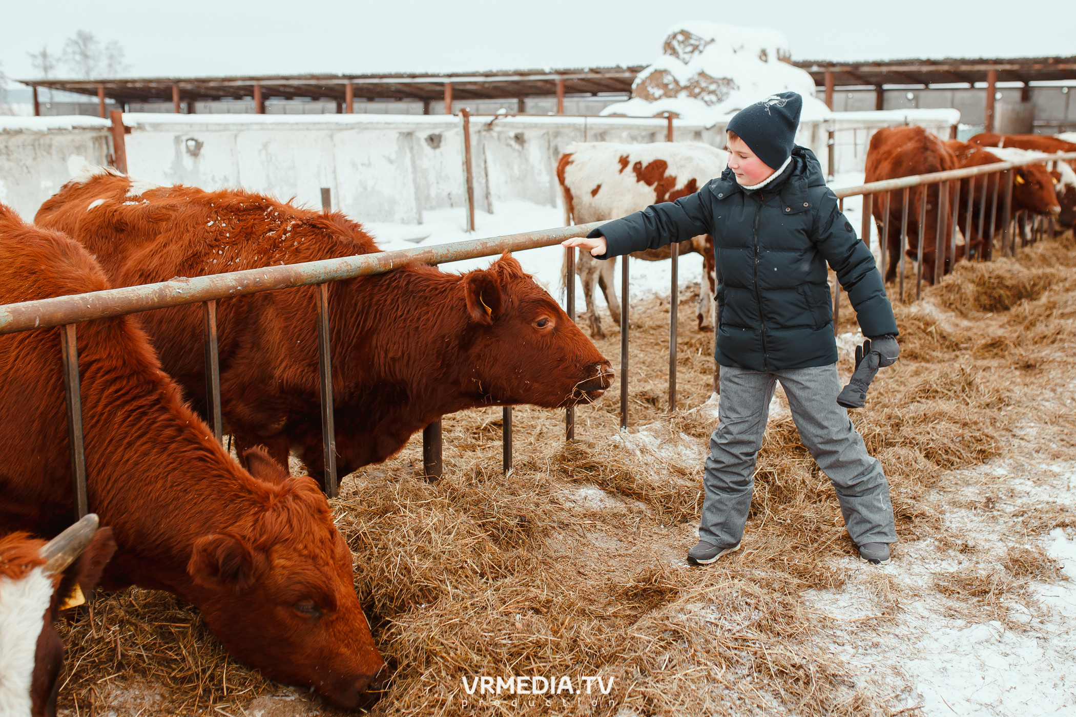 Экскурсия — дегустация на «Сыроварне Лобанова»