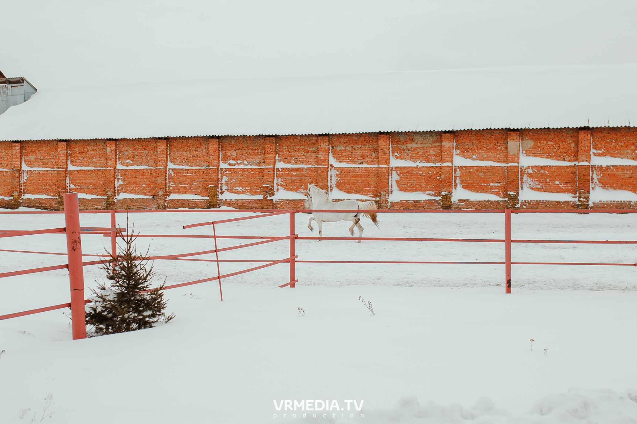 Экскурсия — дегустация на «Сыроварне Лобанова»