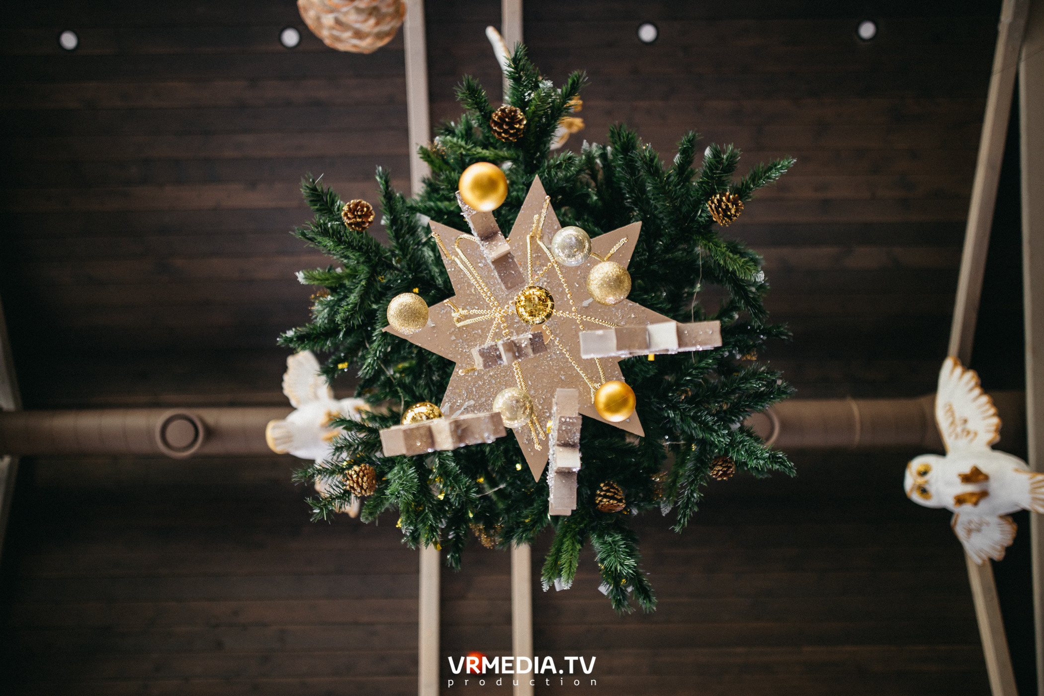 Детская вечеринка в эко-отеле «Лукоморье»