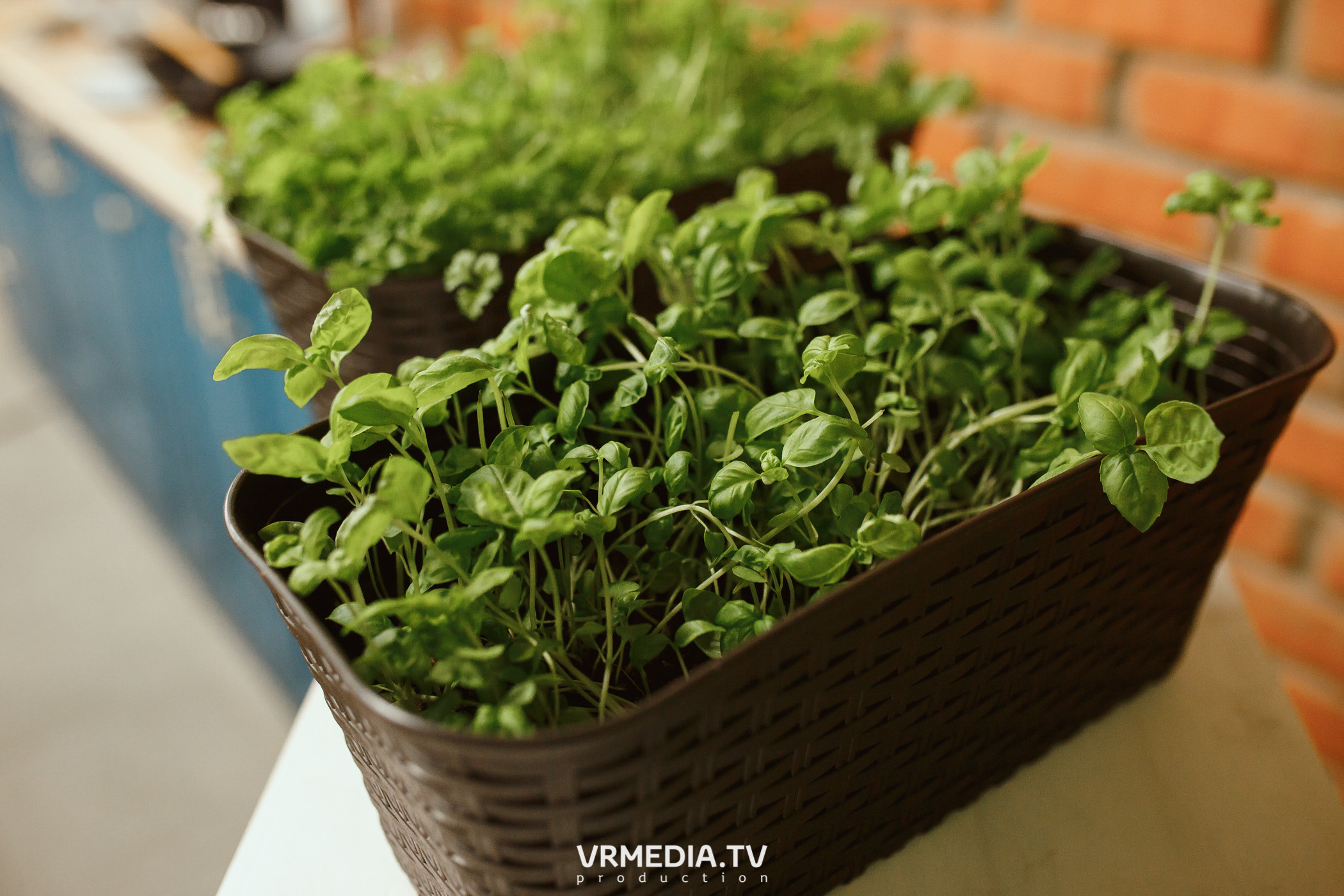 Кулинарная студия «Артишок». Битва столов: Барберы GoodMan — жарят мяс