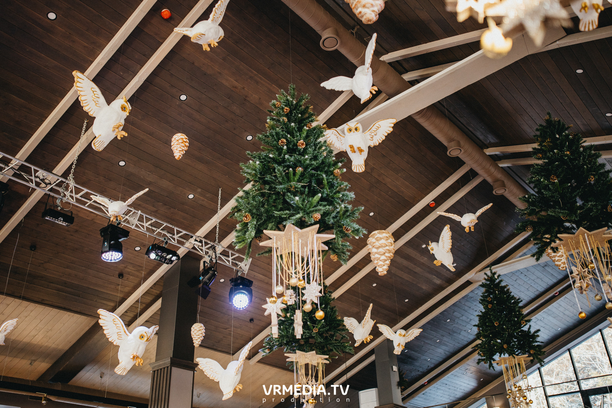 Новогодние вечера в эко-отеле «Лукоморье»