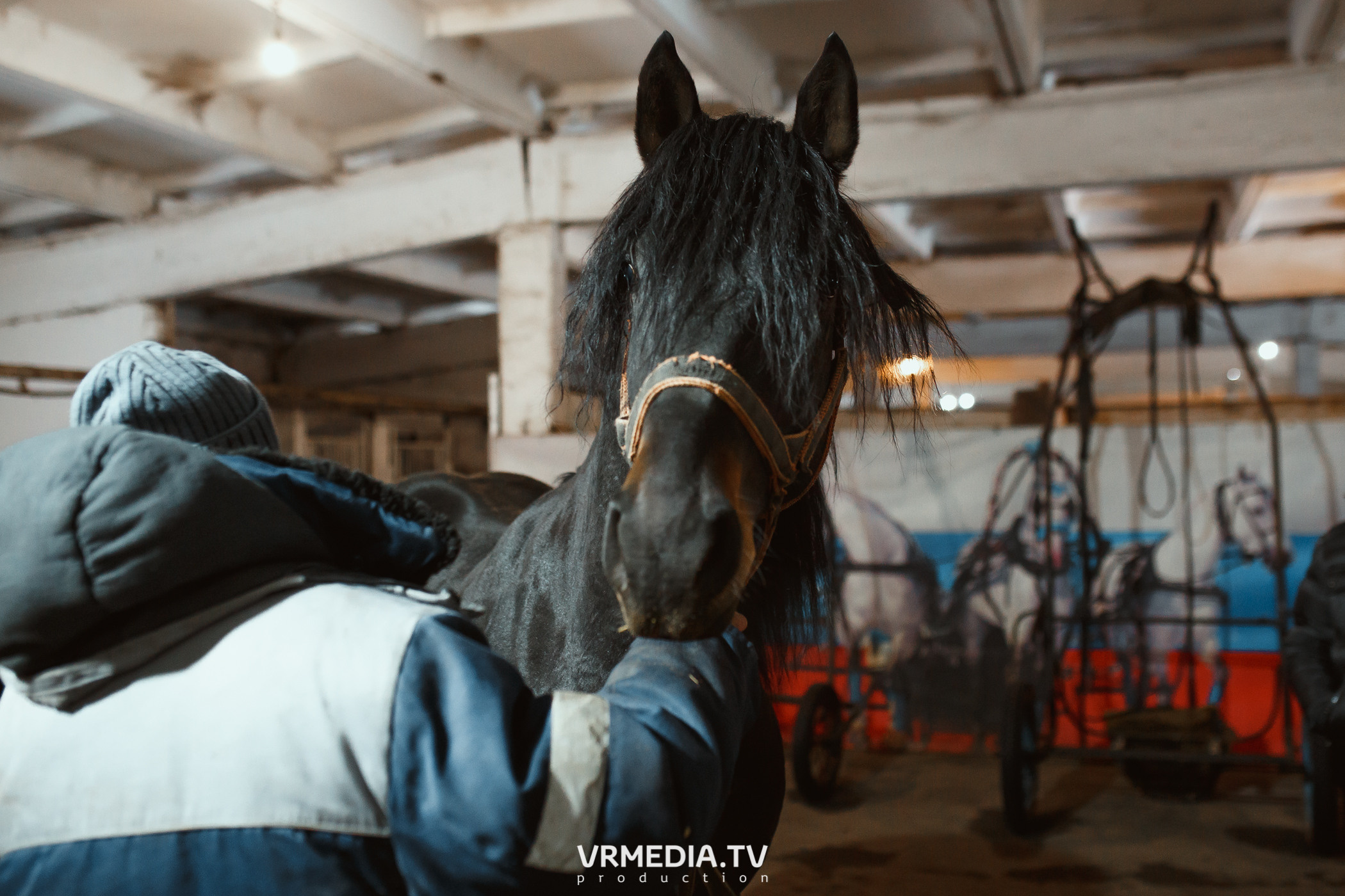 Экскурсия — дегустация на «Сыроварне Лобанова»