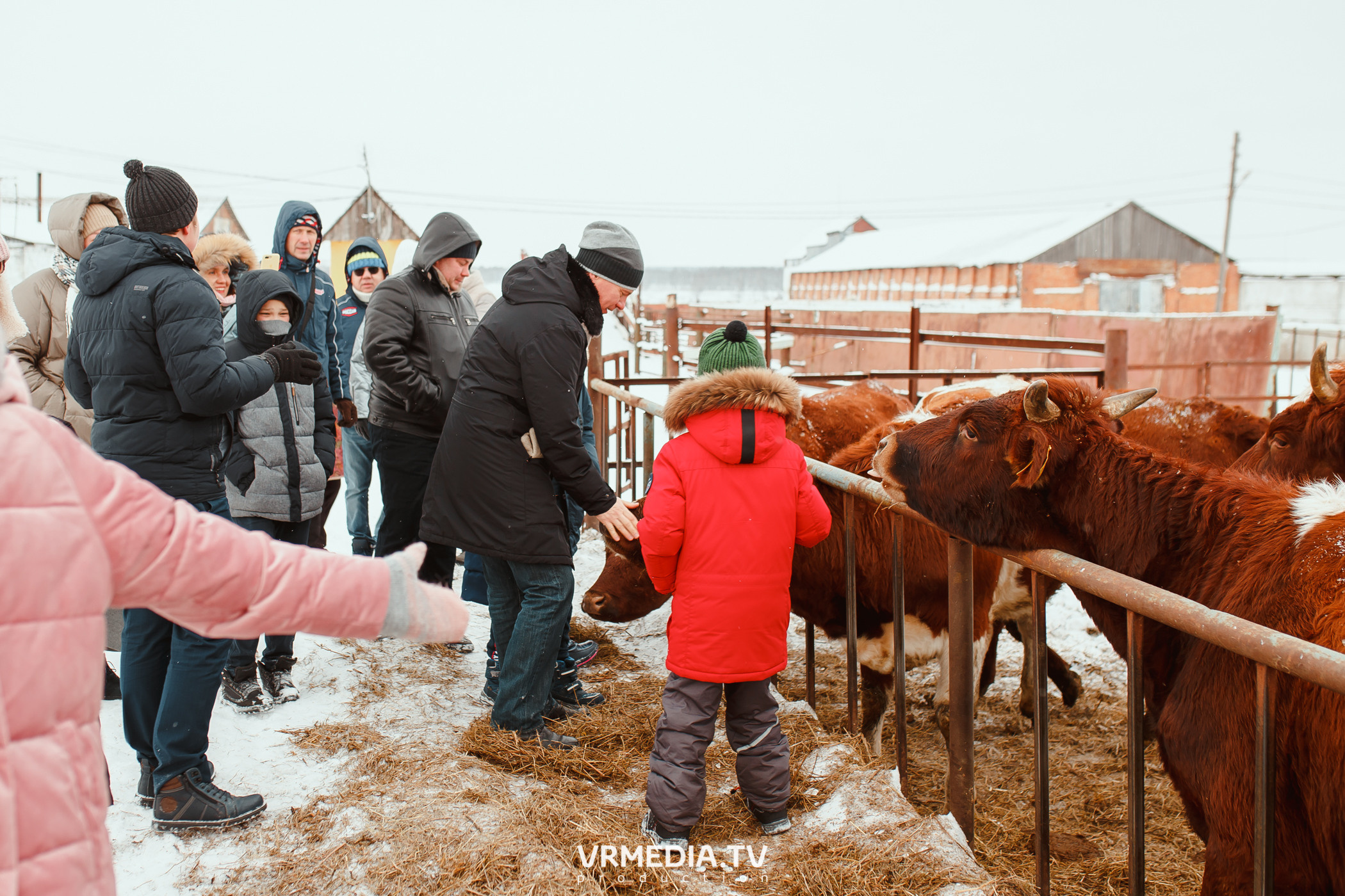 Экскурсия — дегустация на «Сыроварне Лобанова»