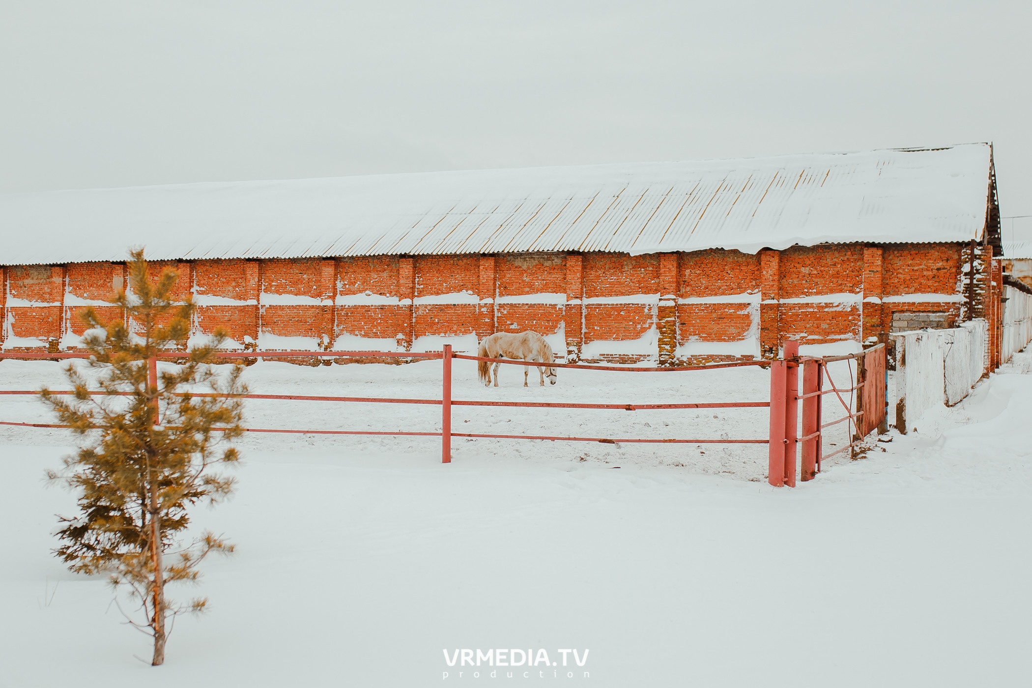Экскурсия — дегустация на «Сыроварне Лобанова»