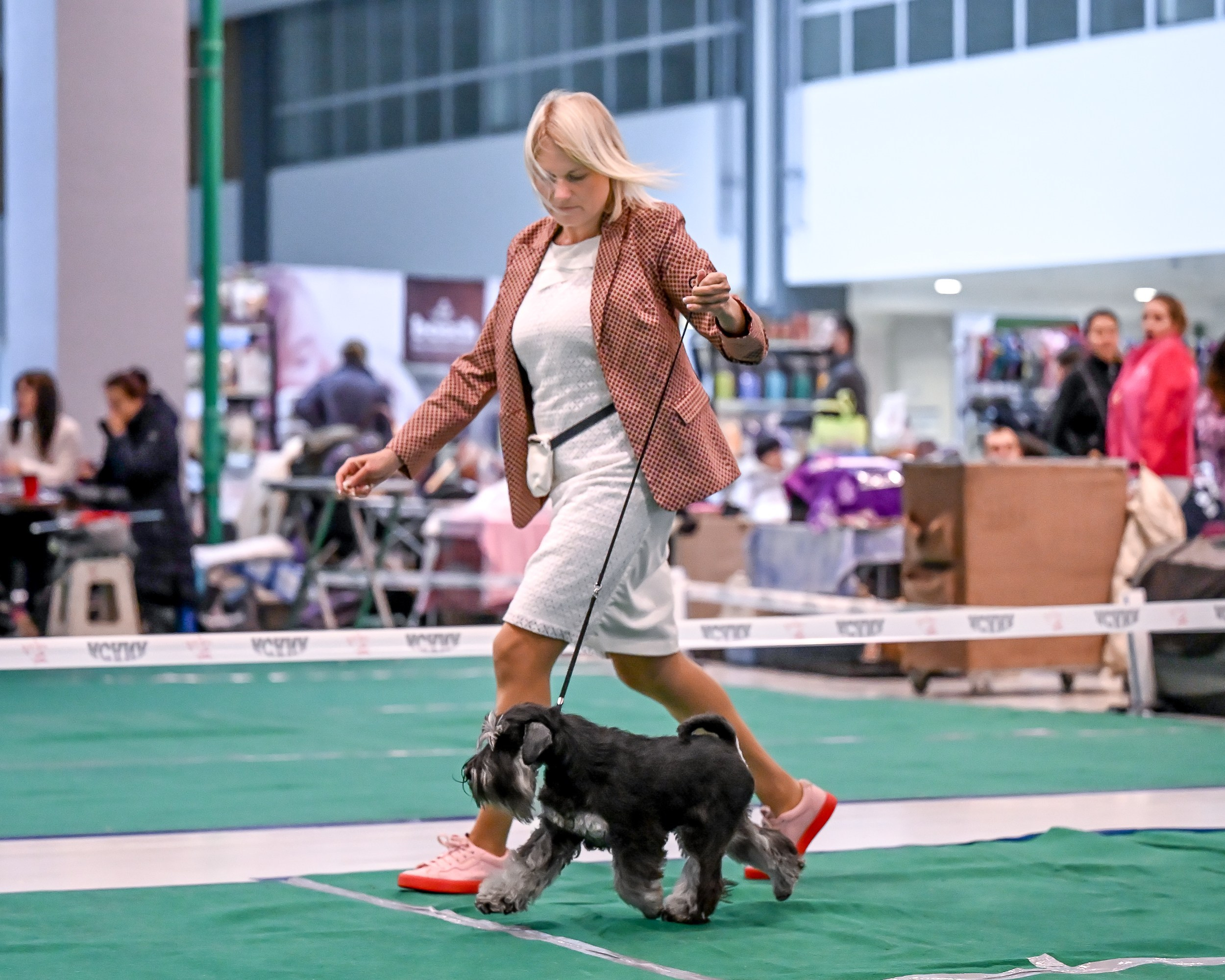 Delinso Balance Chivas Regal (Li Mu Zi Chinese Dragon x Delinso Balance Onyrico Tahoe)