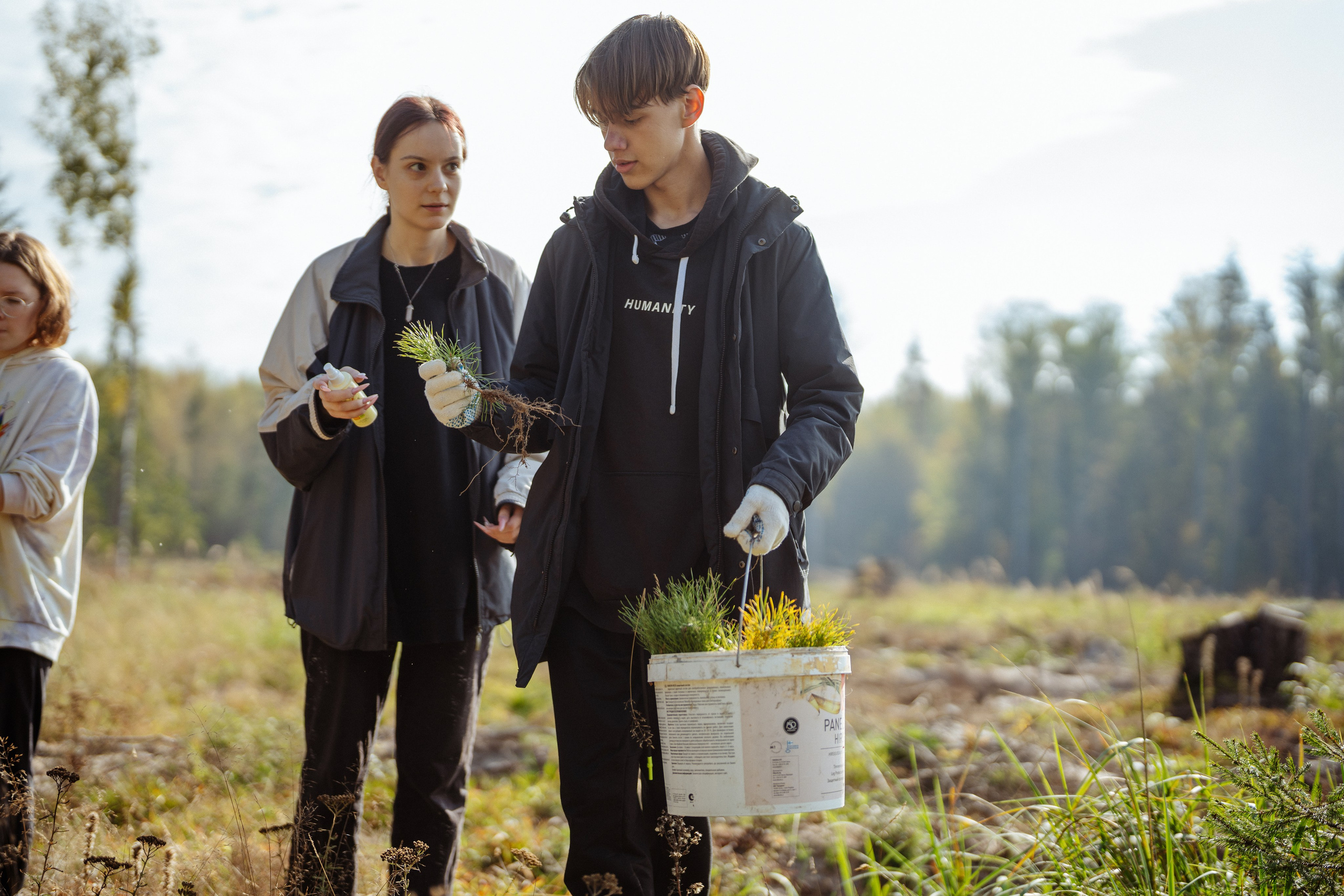 СБЕР · ЭКА · Посадка сеянцев. Владимир Вершинин, тот самый свадебный видеограф