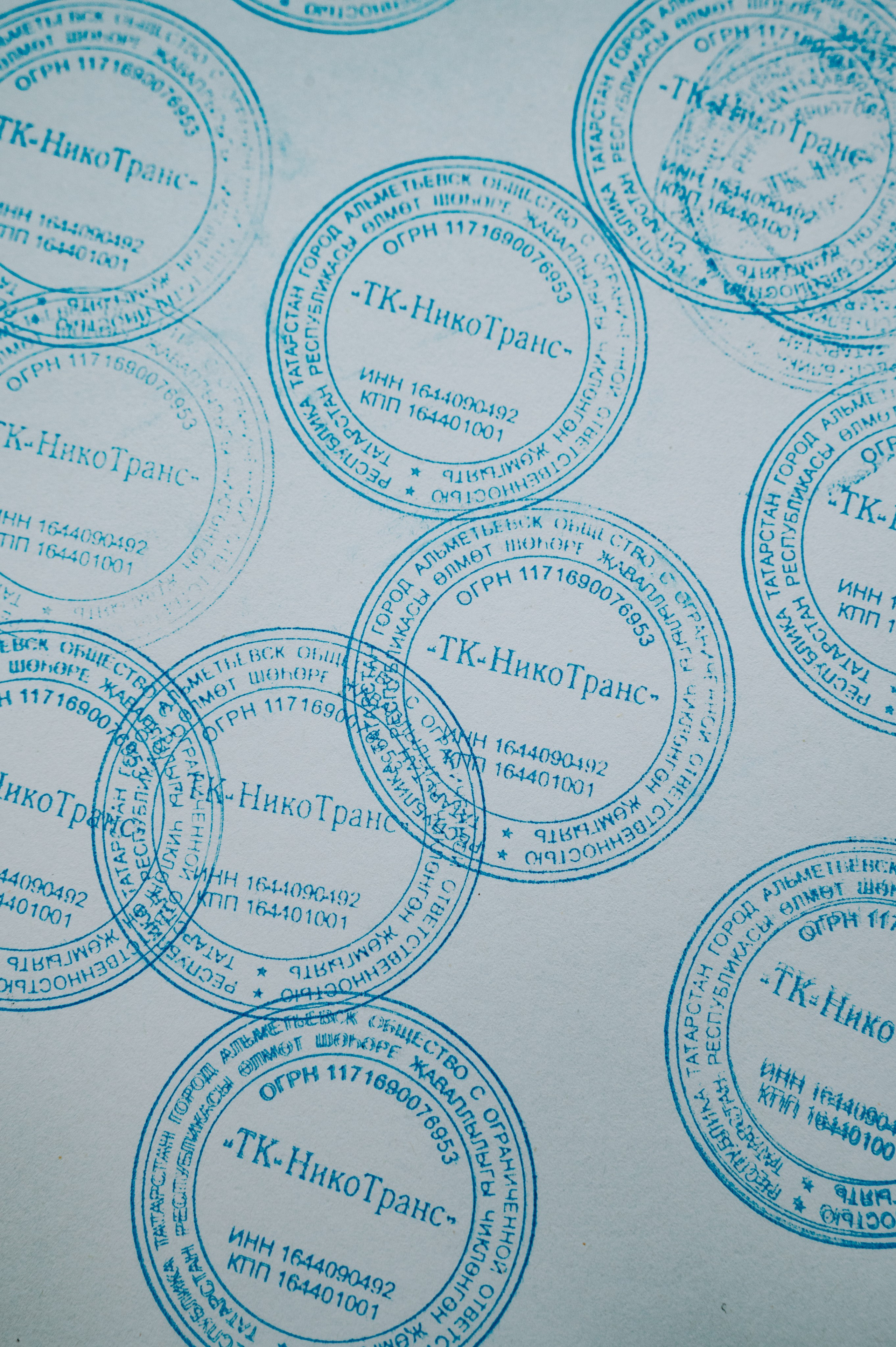 Организация Nikotrans. Фотограф/видеограф Богдан Голованов