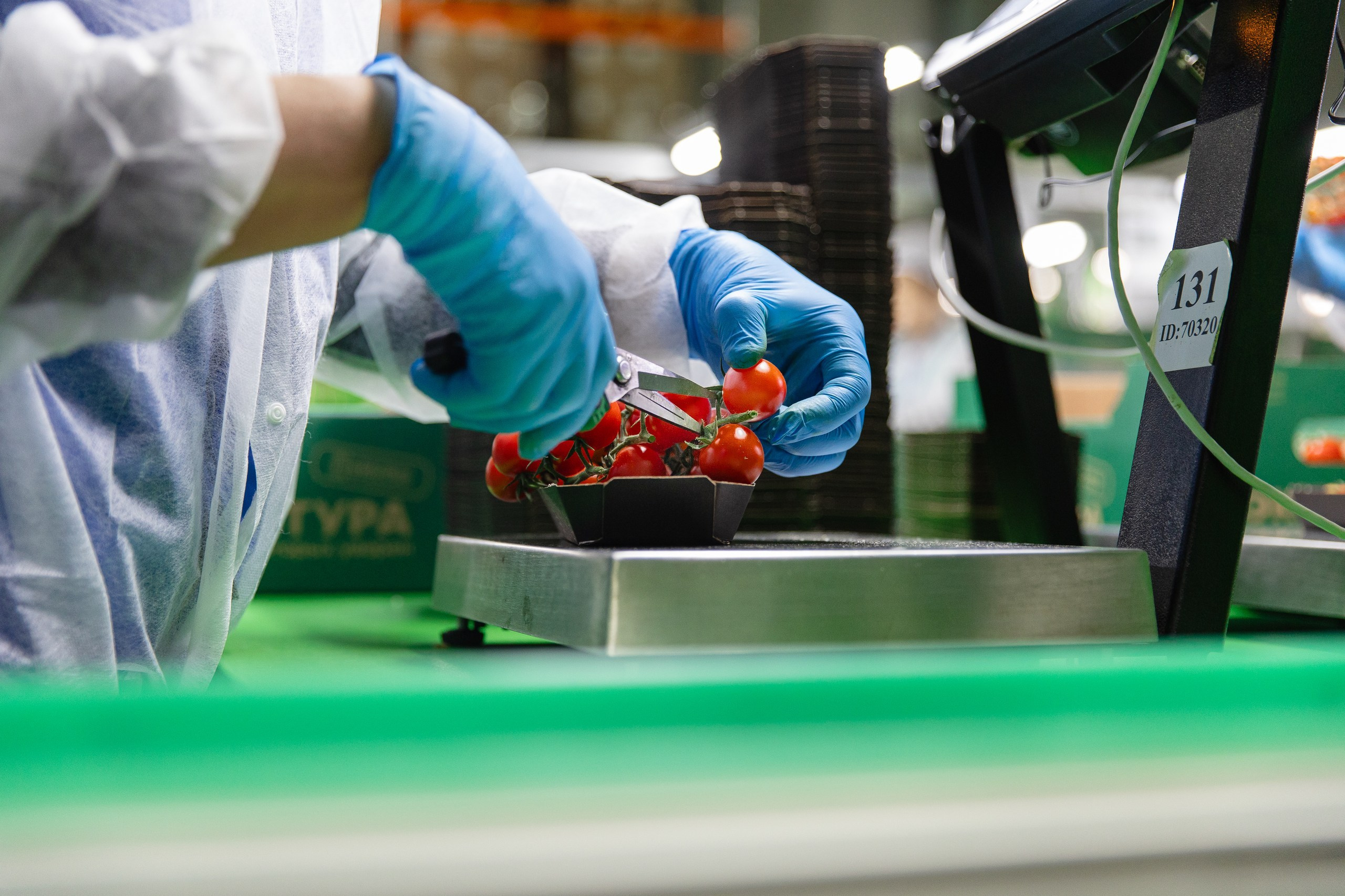 Производство. Фотограф Николай Петрушкин | Ставрополь, Москва