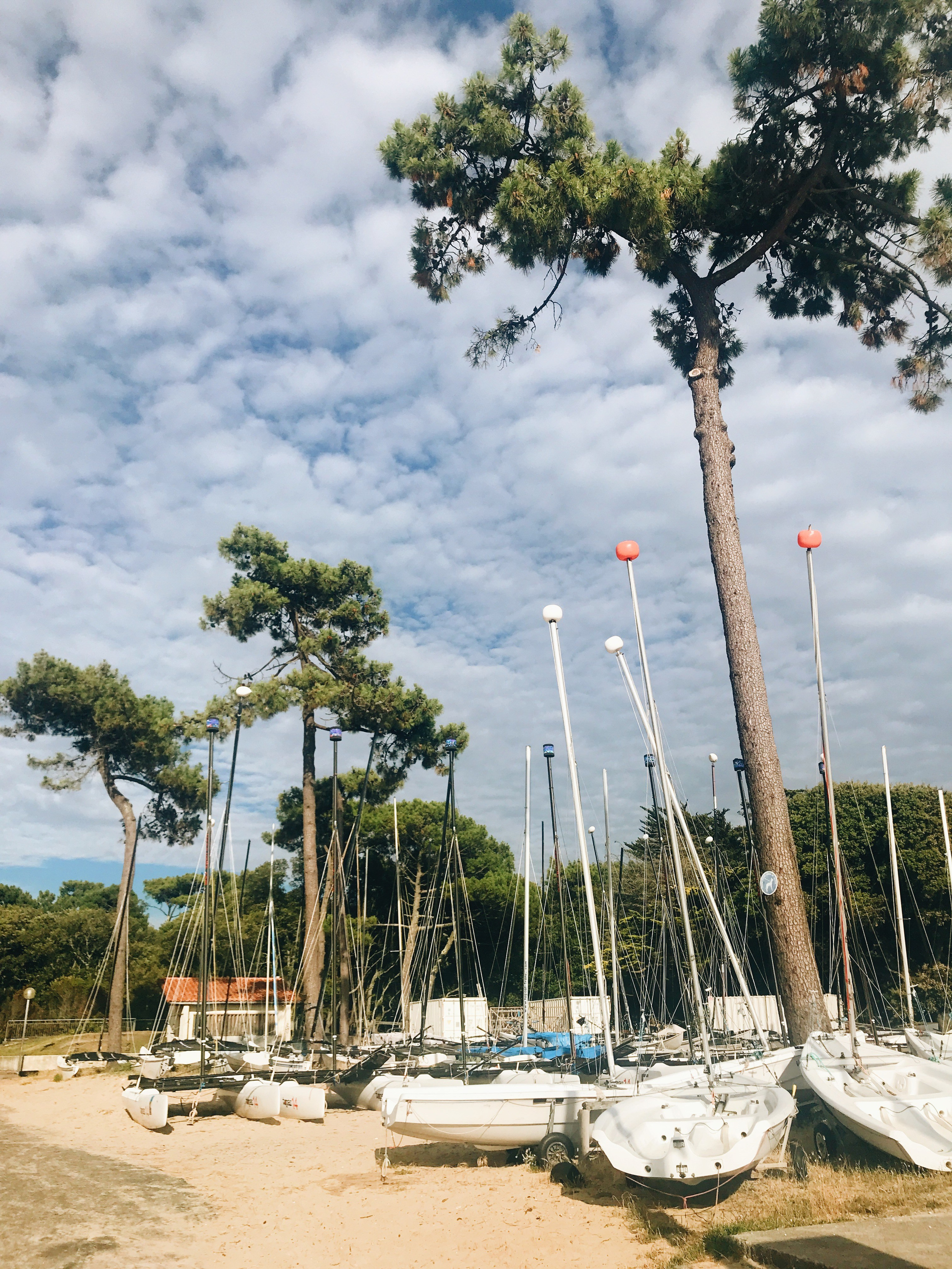 Travel. Главная