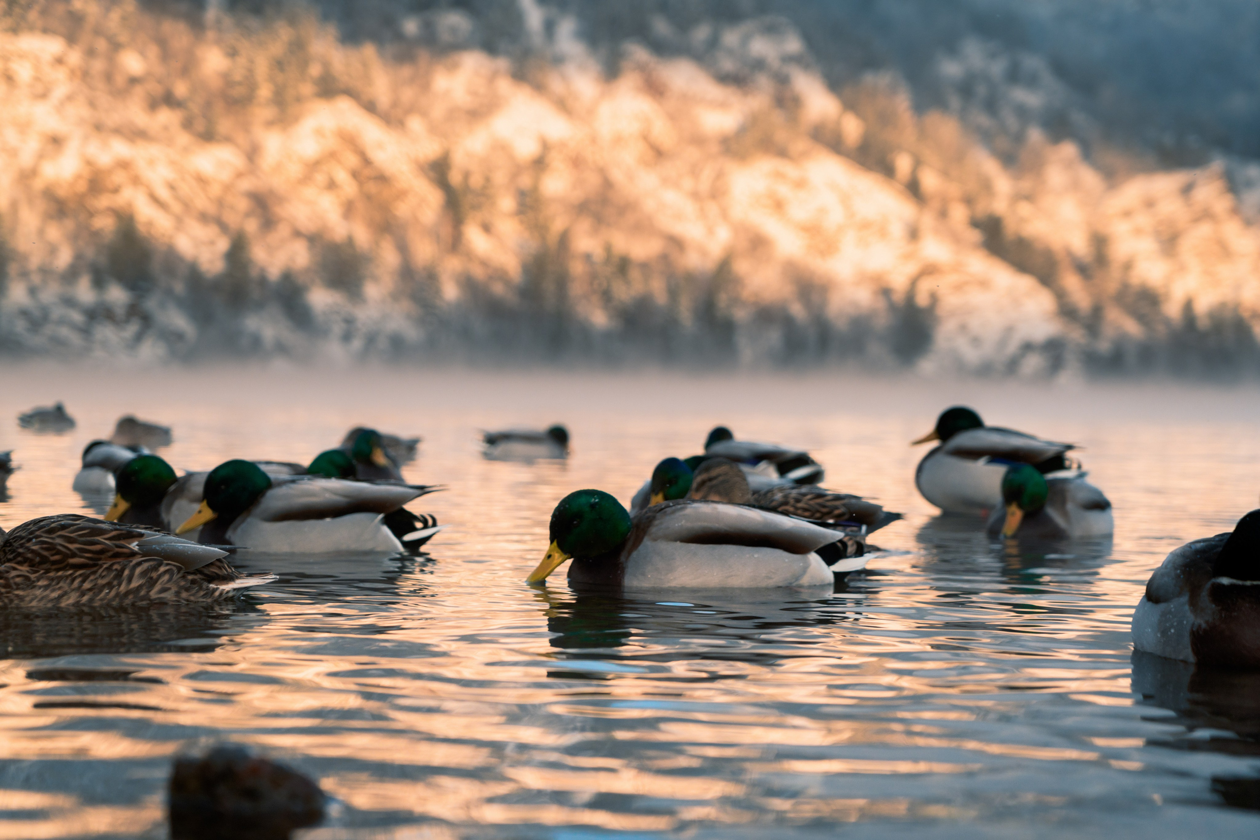 Красноярск и Дивногорск, Ноябрь 2023