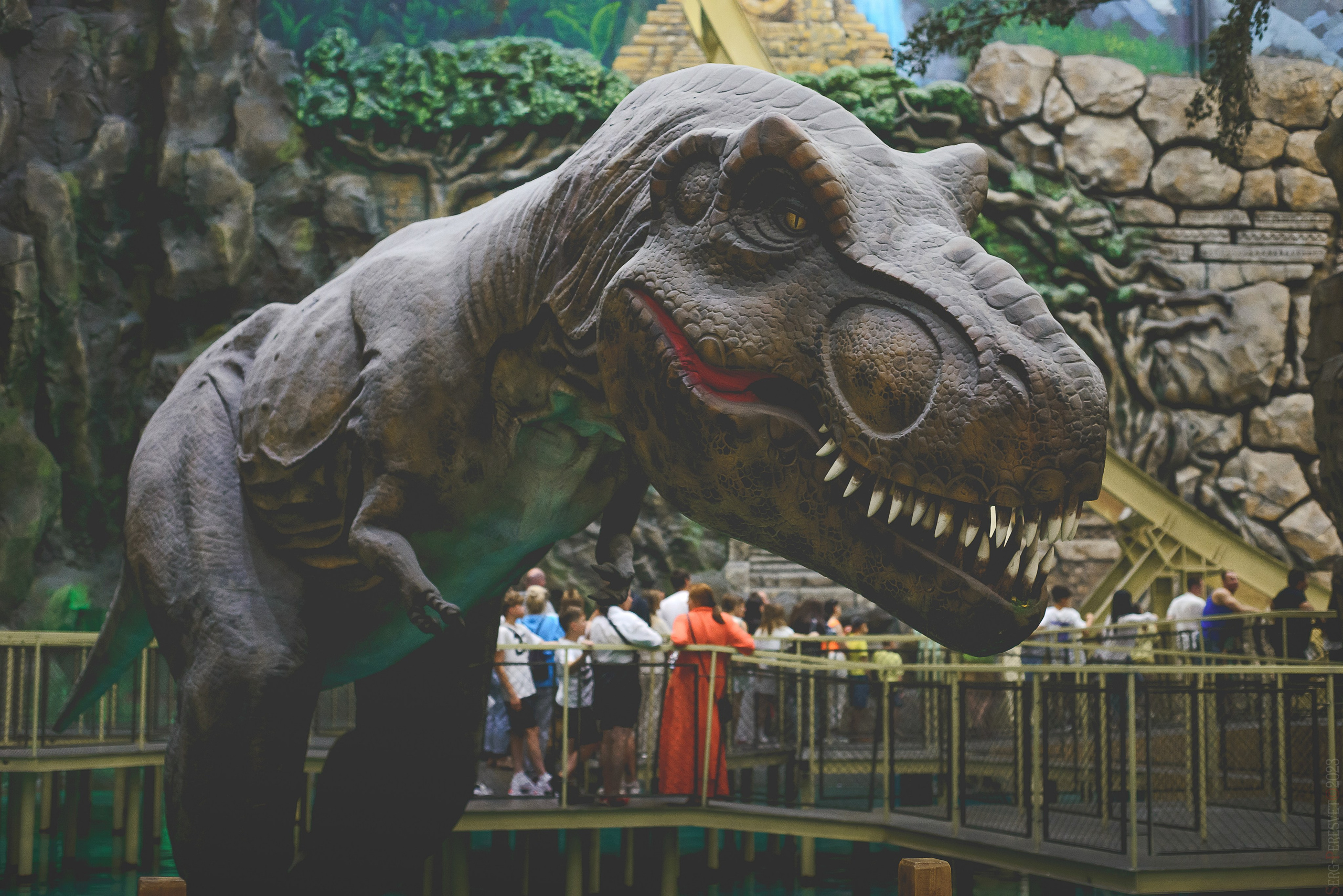 «Остров мечты» парк развлечений, Детский день рождения, Москва. Ваш фотограф на праздник в Москве, Раменском, Жуковском, Люберцах