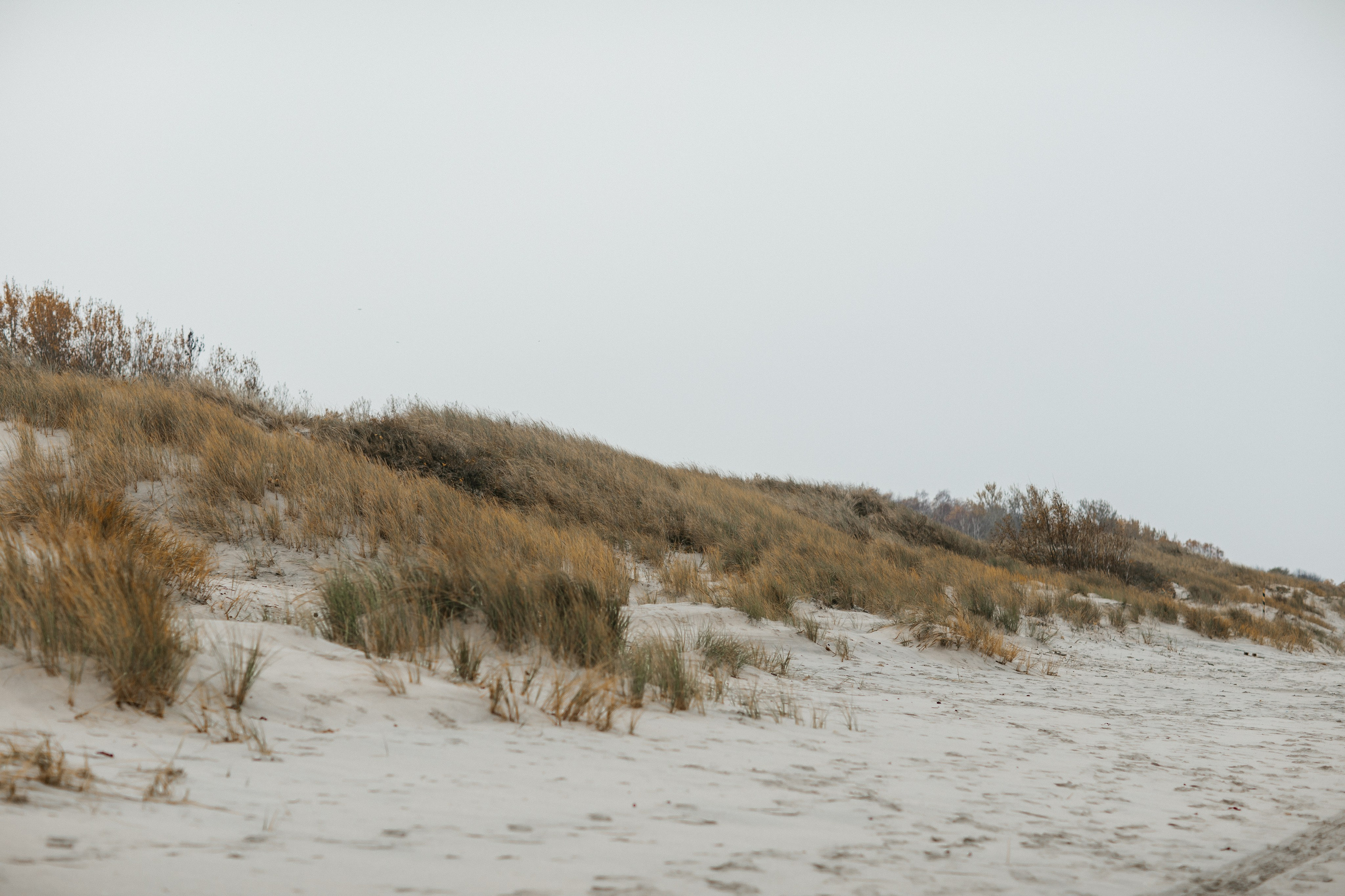 Фотосессия в Балтийске. Свадебный и семейный фотограф/видеограф в Краснодаре Наталья Осинская