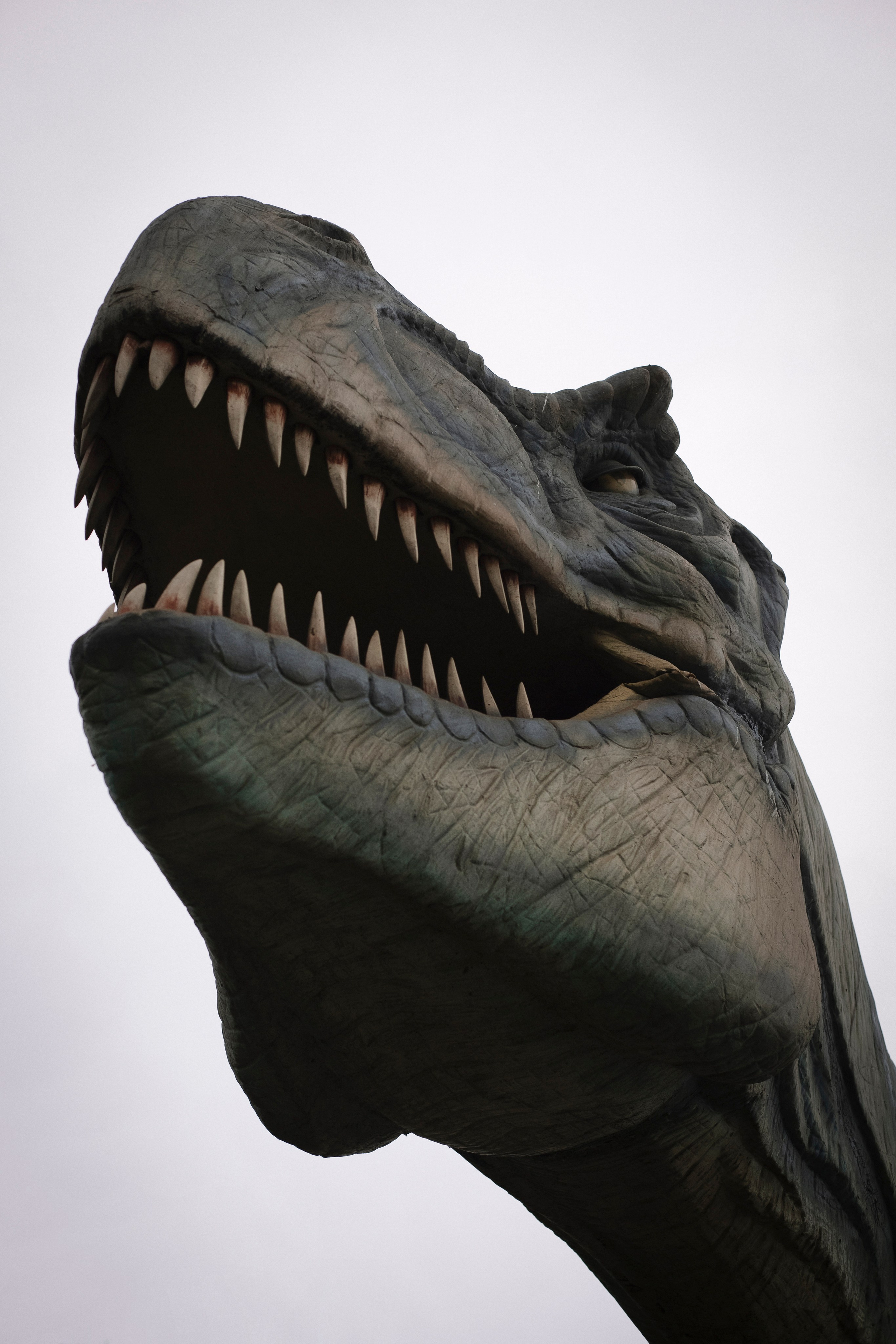 Мой домашний динозавр. Портретный фотограф в Минске