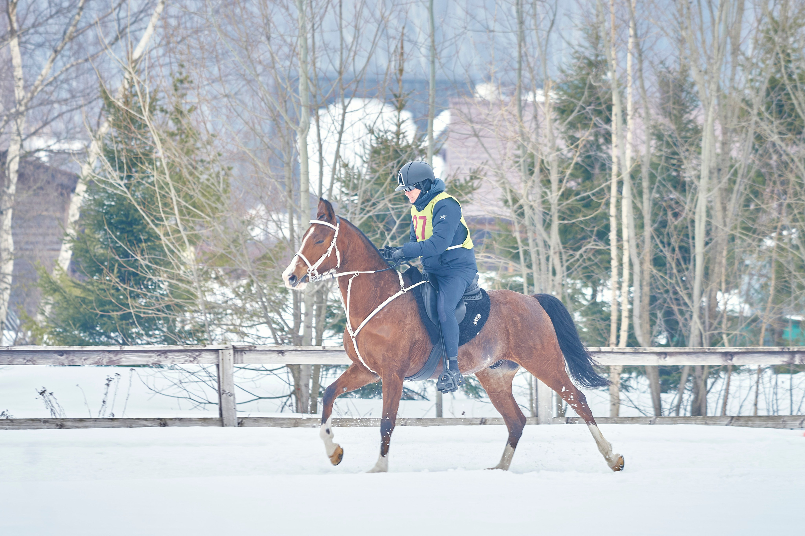 HORSE RACING. Фотограф Наталья Леонова