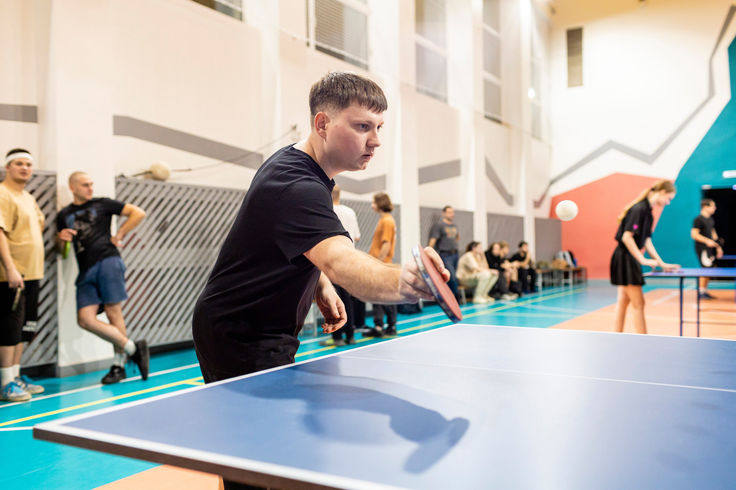 Настольный теннис, спорт. Samuildyak