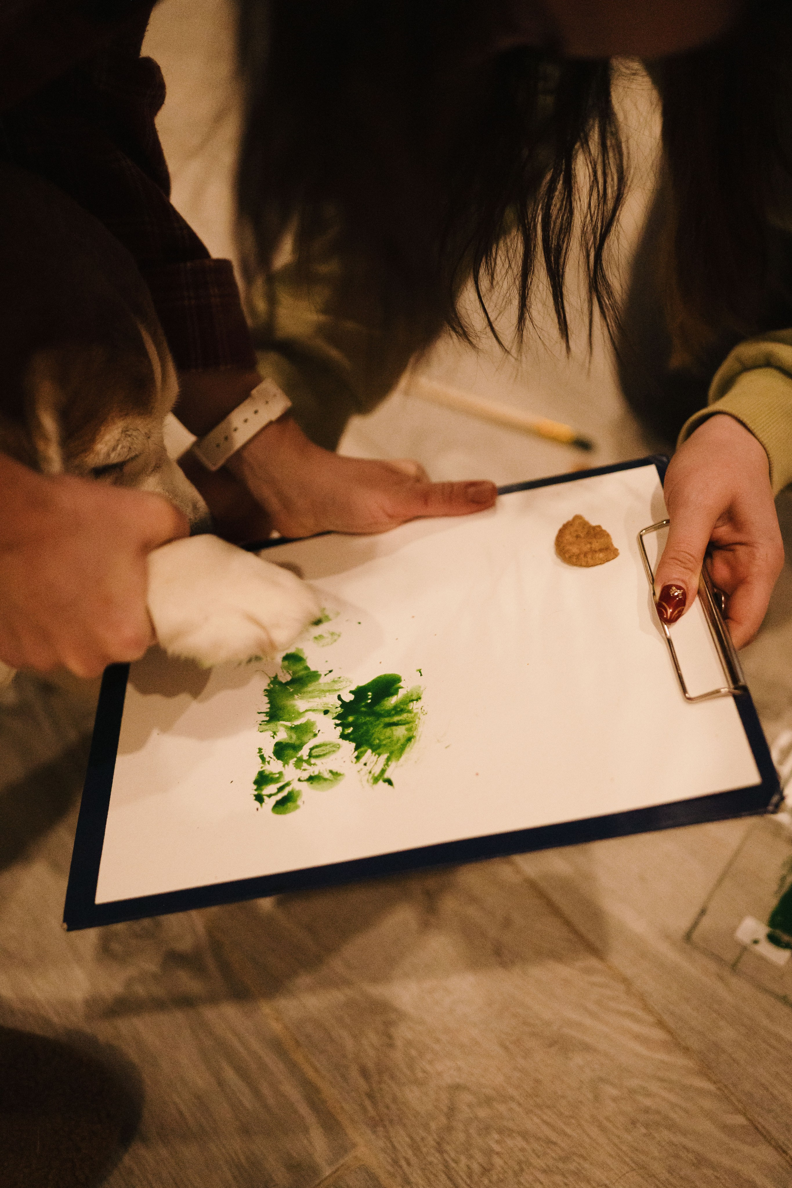 Зоогостиница Мишка. Фотограф- анималист Александра Матвеева