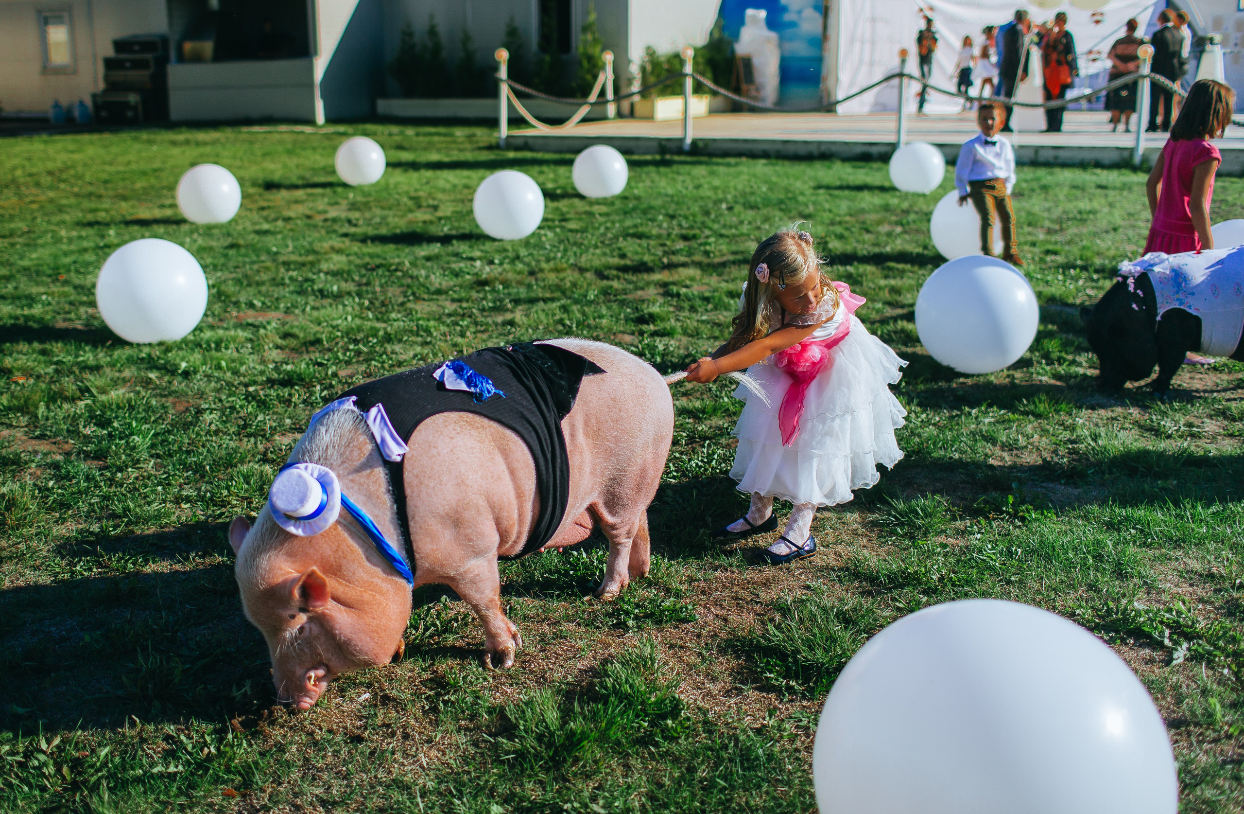 KATRINA & RUSLAN. Свадебный и Семейный фотограф в Санкт-Петербурге и Москве Иона Дидишвили