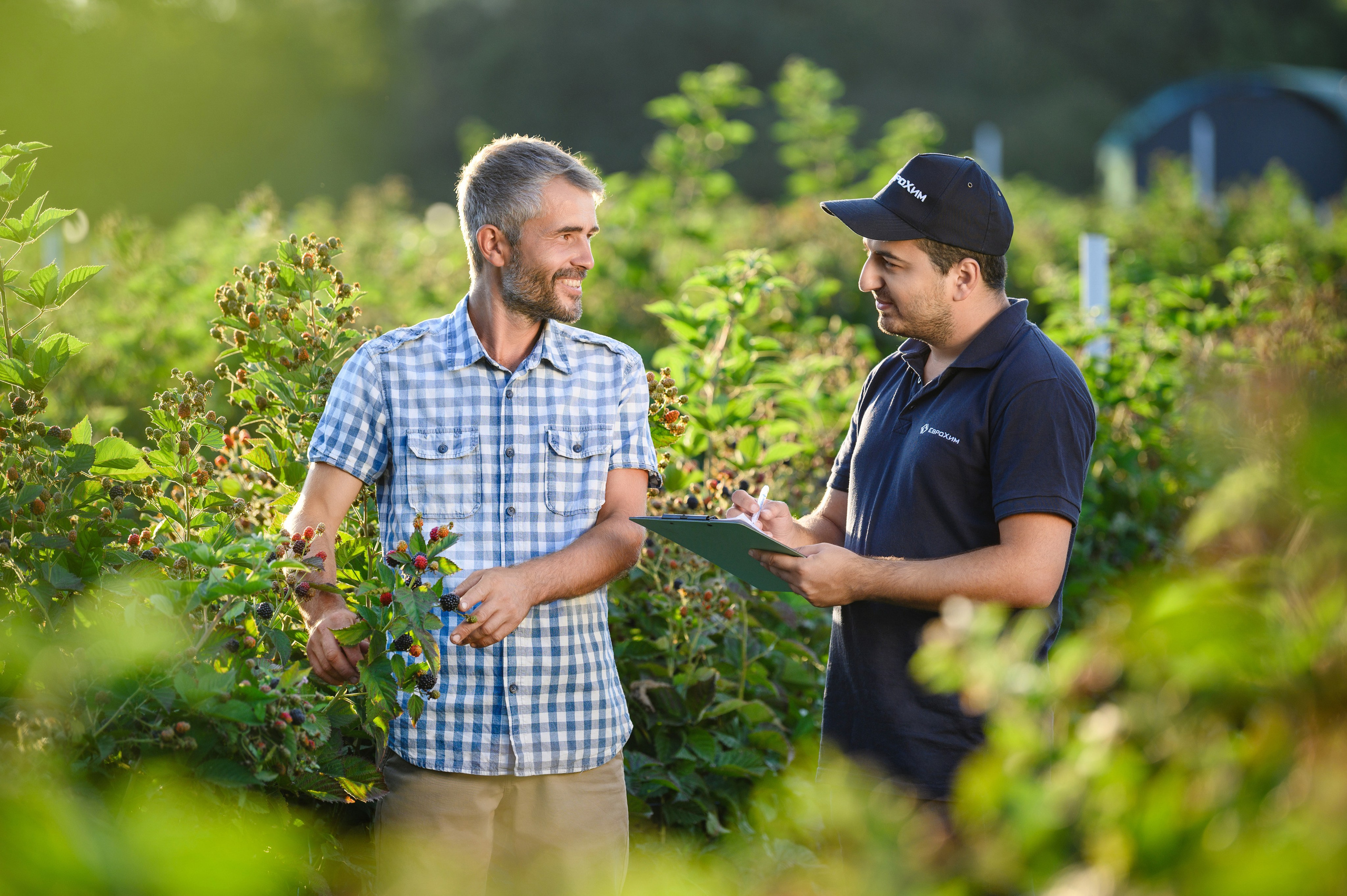Проекты. Профессиональный фотограф Вячеслав Плацында | Липецк |