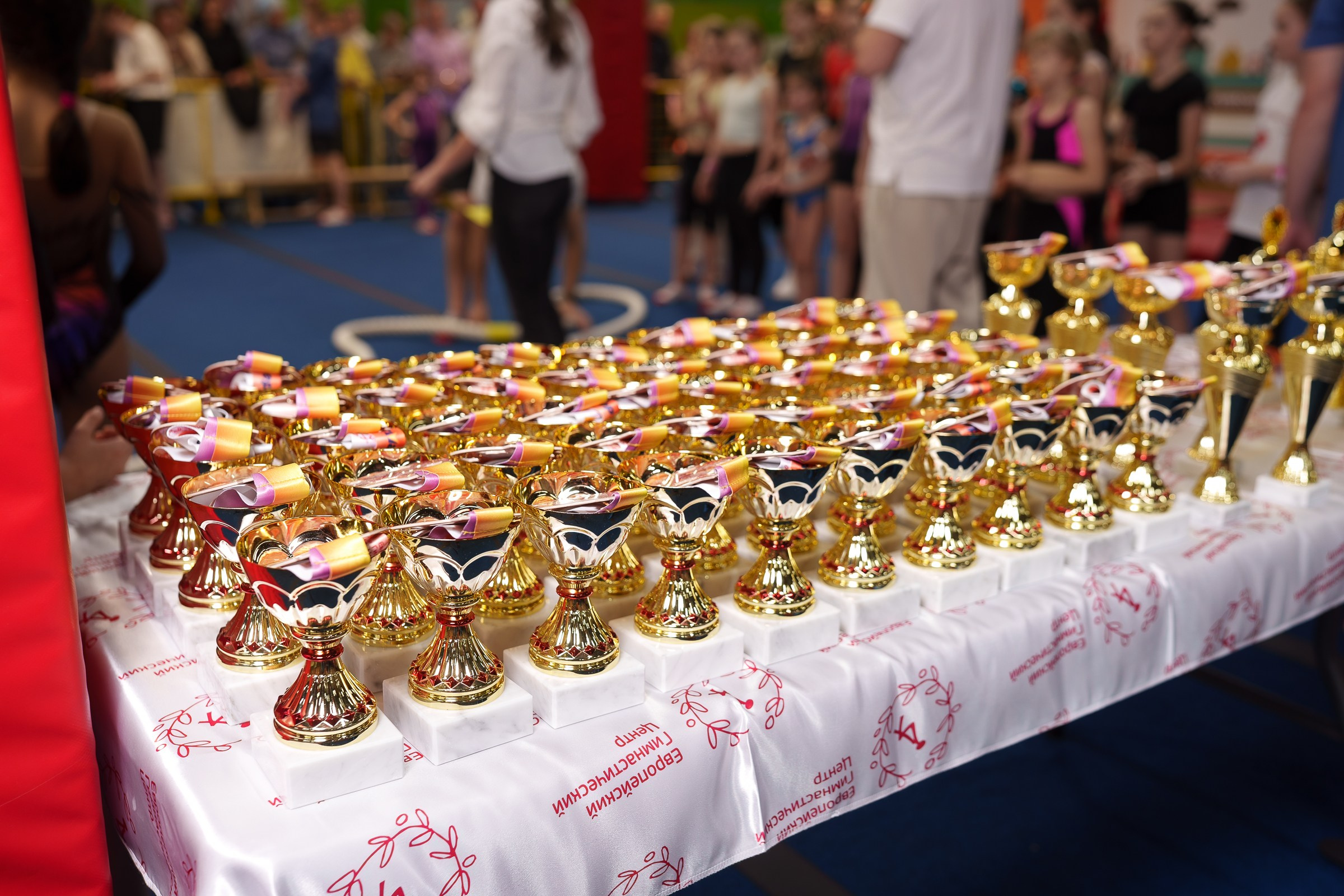 Гимнастика_2. Фотограф Москва