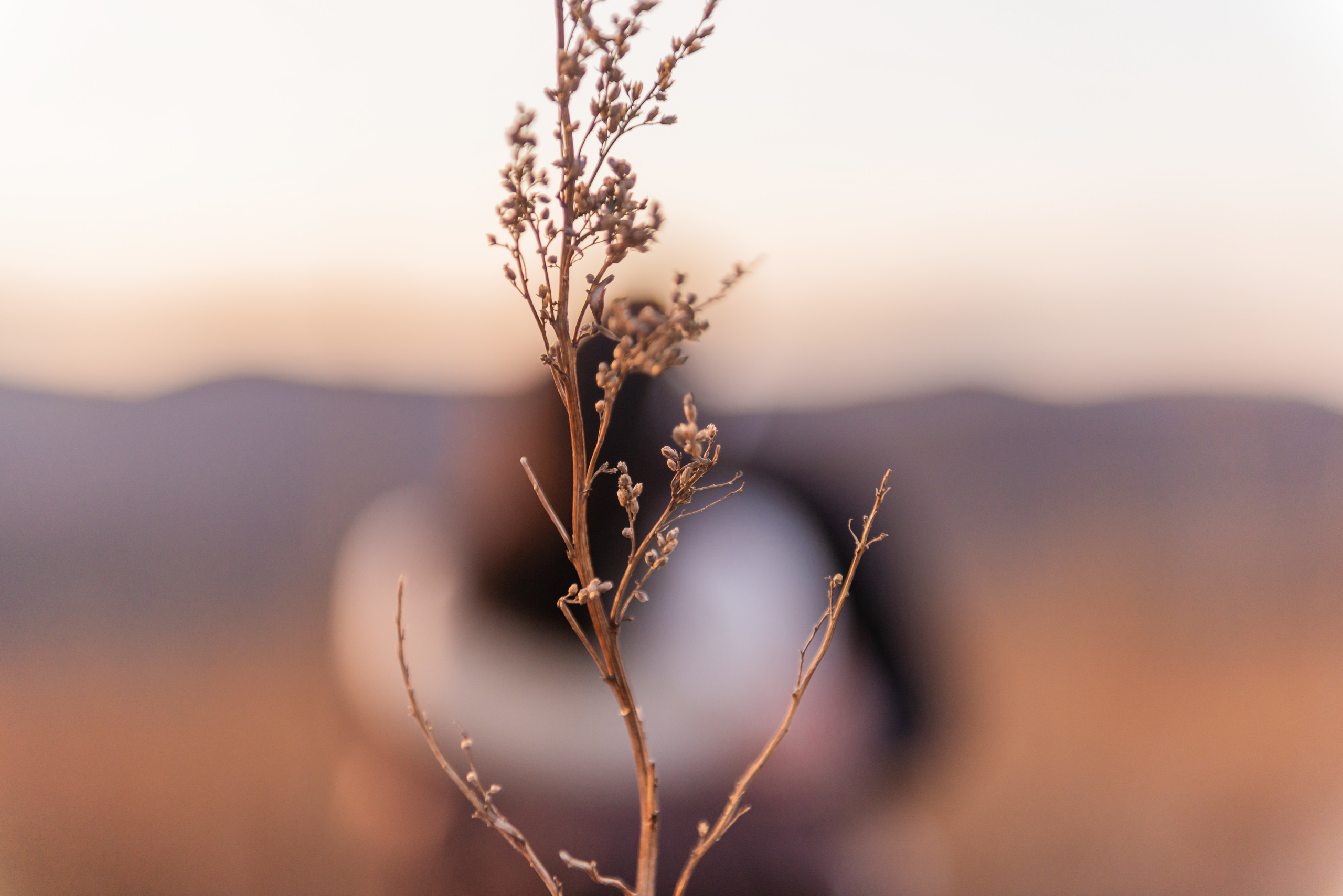 Лавстори. Семейный и свадебный фотограф во Владивостоке