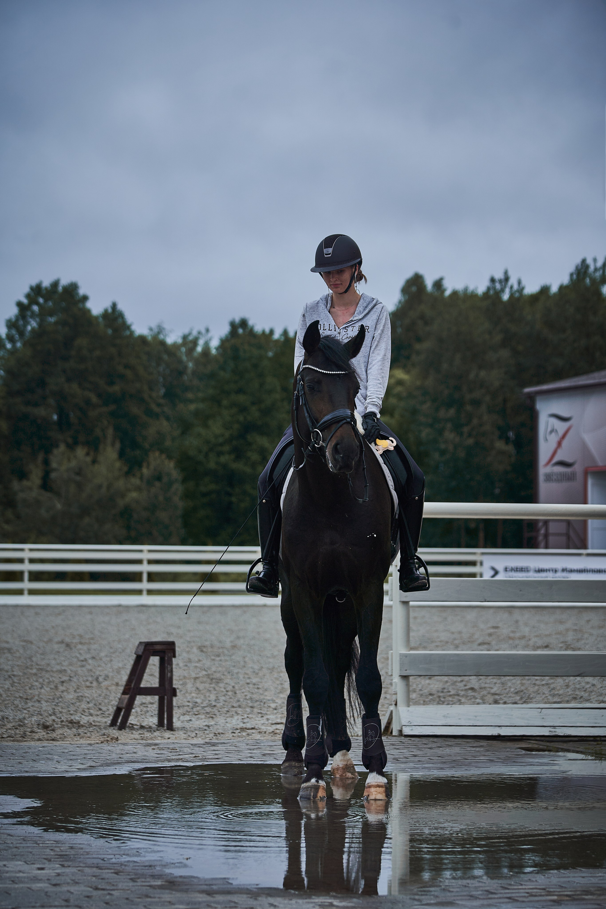 Анна и Наполи. Фотосессии с лошадьми в Москве, Новосибирске