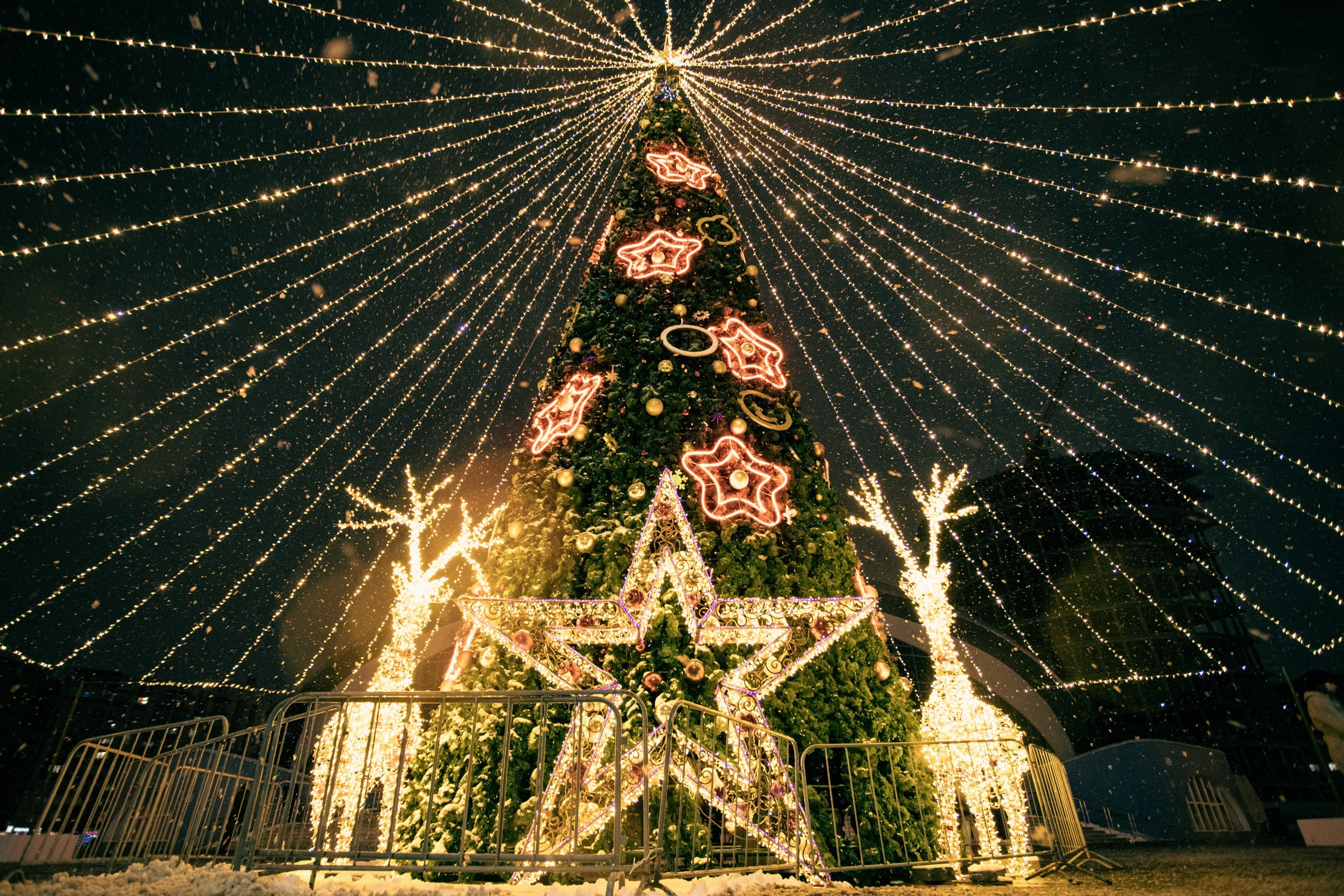 Новогодние Истории. Фотограф г. Тамбов г. Воронеж Богдан Тарасов