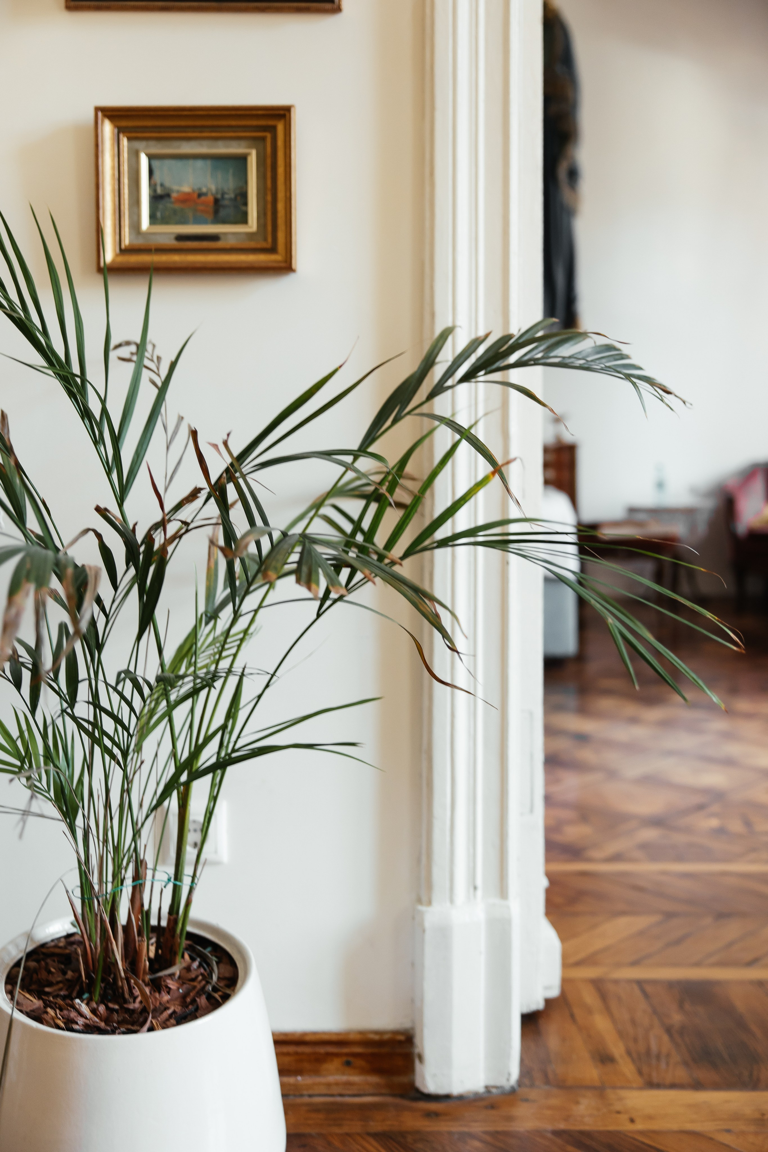 В сердце города. Свадебный фотограф в Ростове-на-Дону Васильченко Сергей