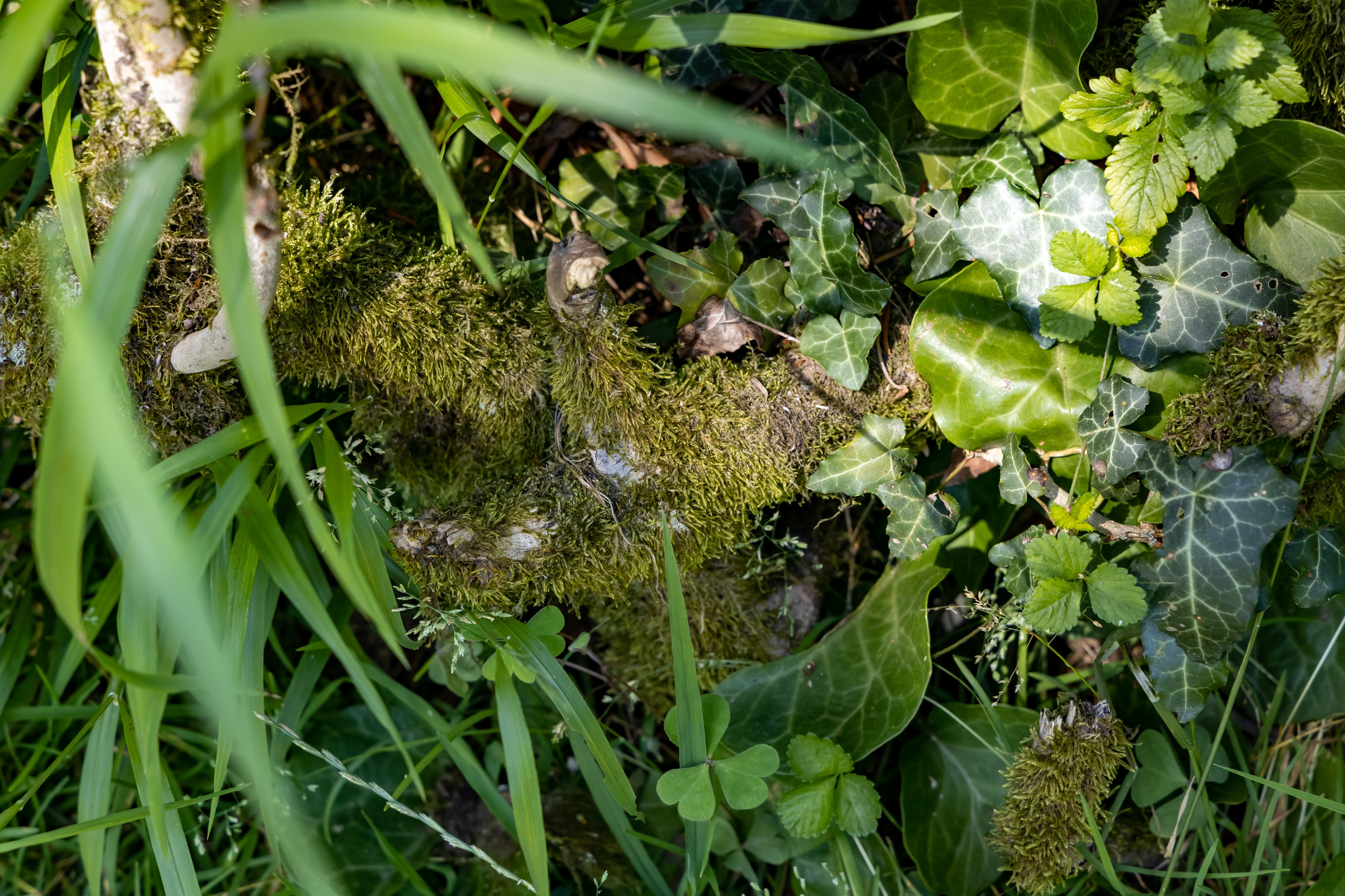 Сочи. Солох Аул. Репортажный, семейный и студийный фотограф в Москве Демин Алексей