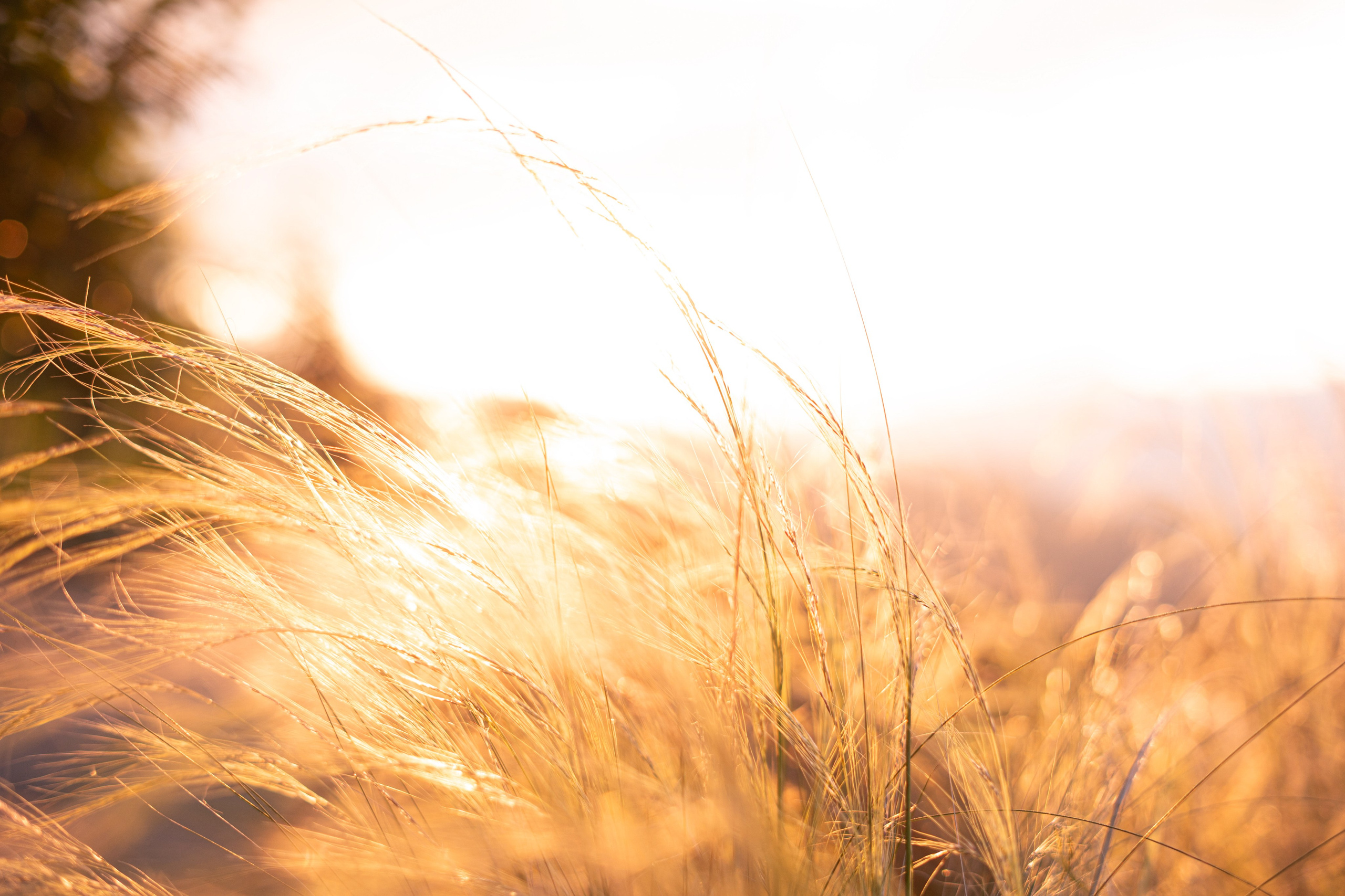 Natalia & Germano. Wedding Photographer in Barcelona and Medellin