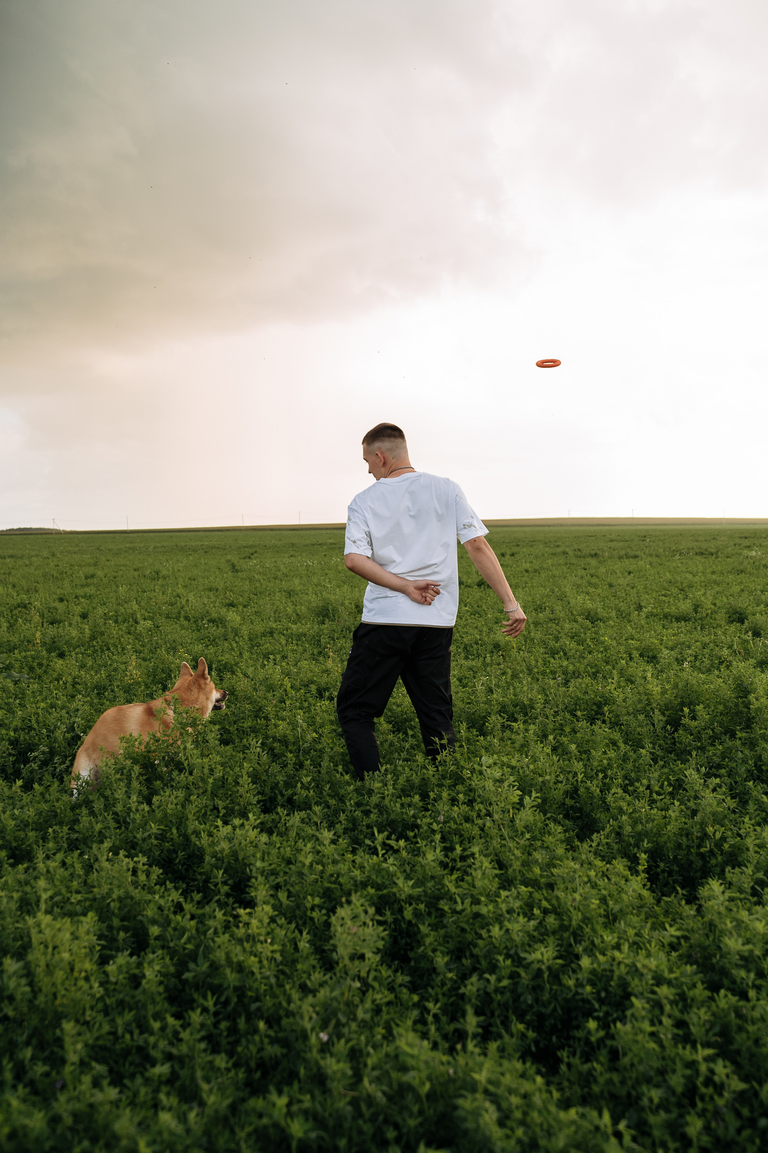 Фотосессия с собакой Екатеринбург. Портретный и семейный фотограф в Екатеринбурге Мария Чахеева