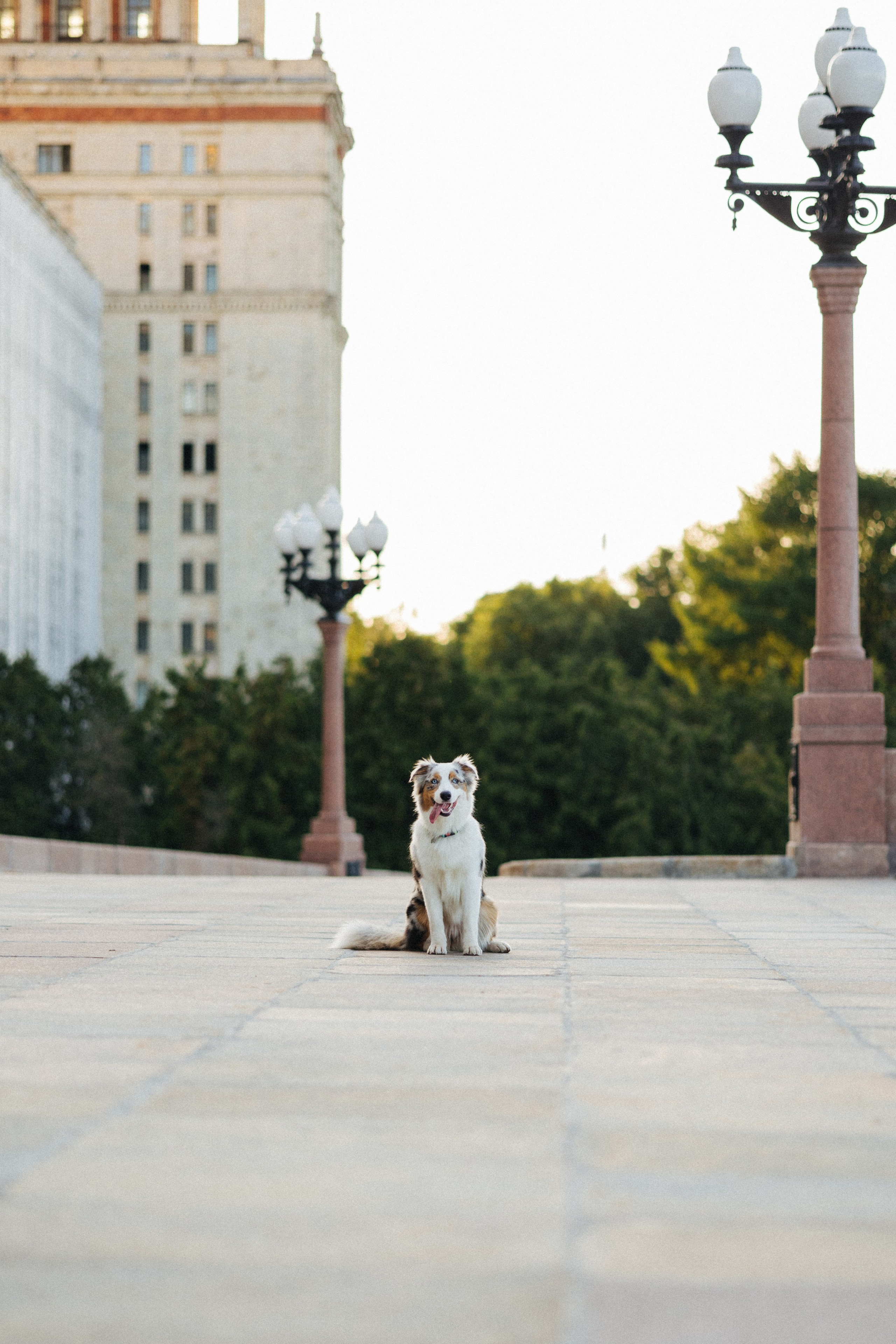Настя, Влад и Лэйк. Фотораф — анималист Мария Шистка