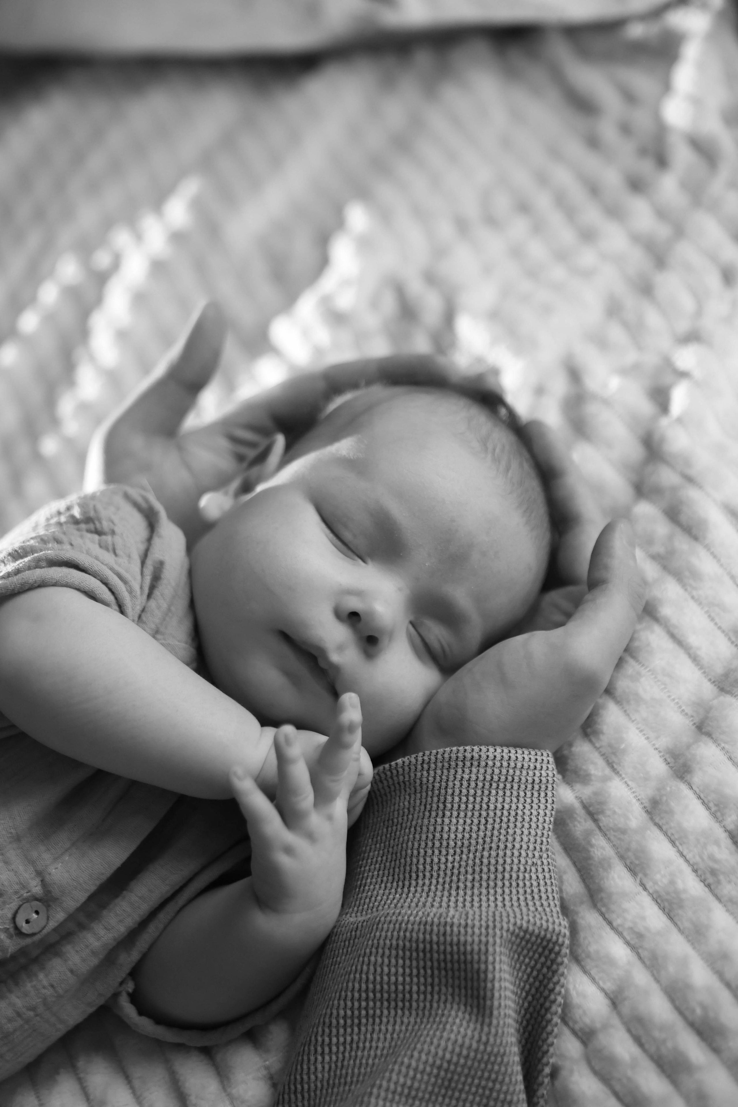 Тимоша. Наталья Косьянова. Ваш фотограф. Москва