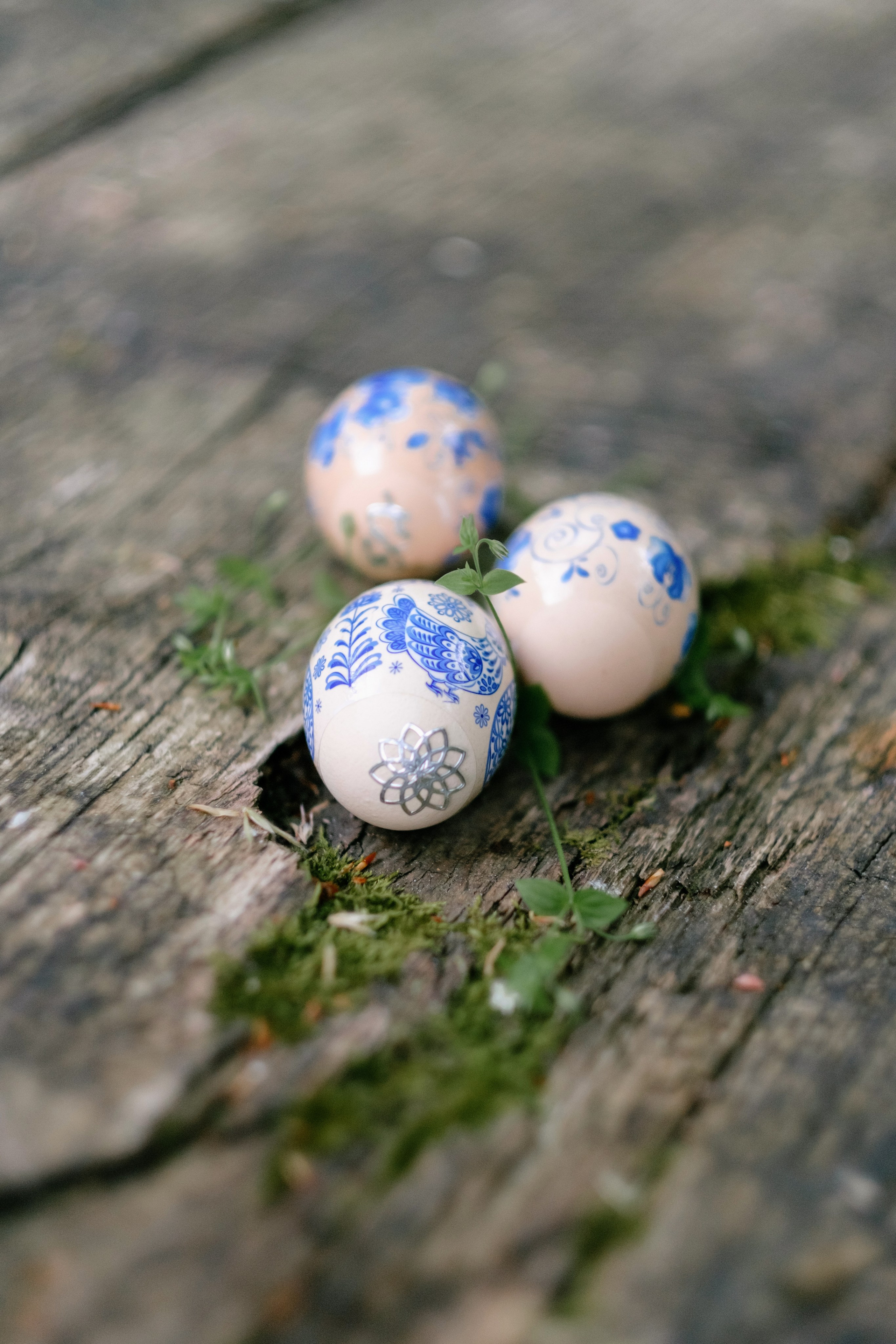 Дагомыские корыта. Свадебный Видеограф Фотограф в Сочи
