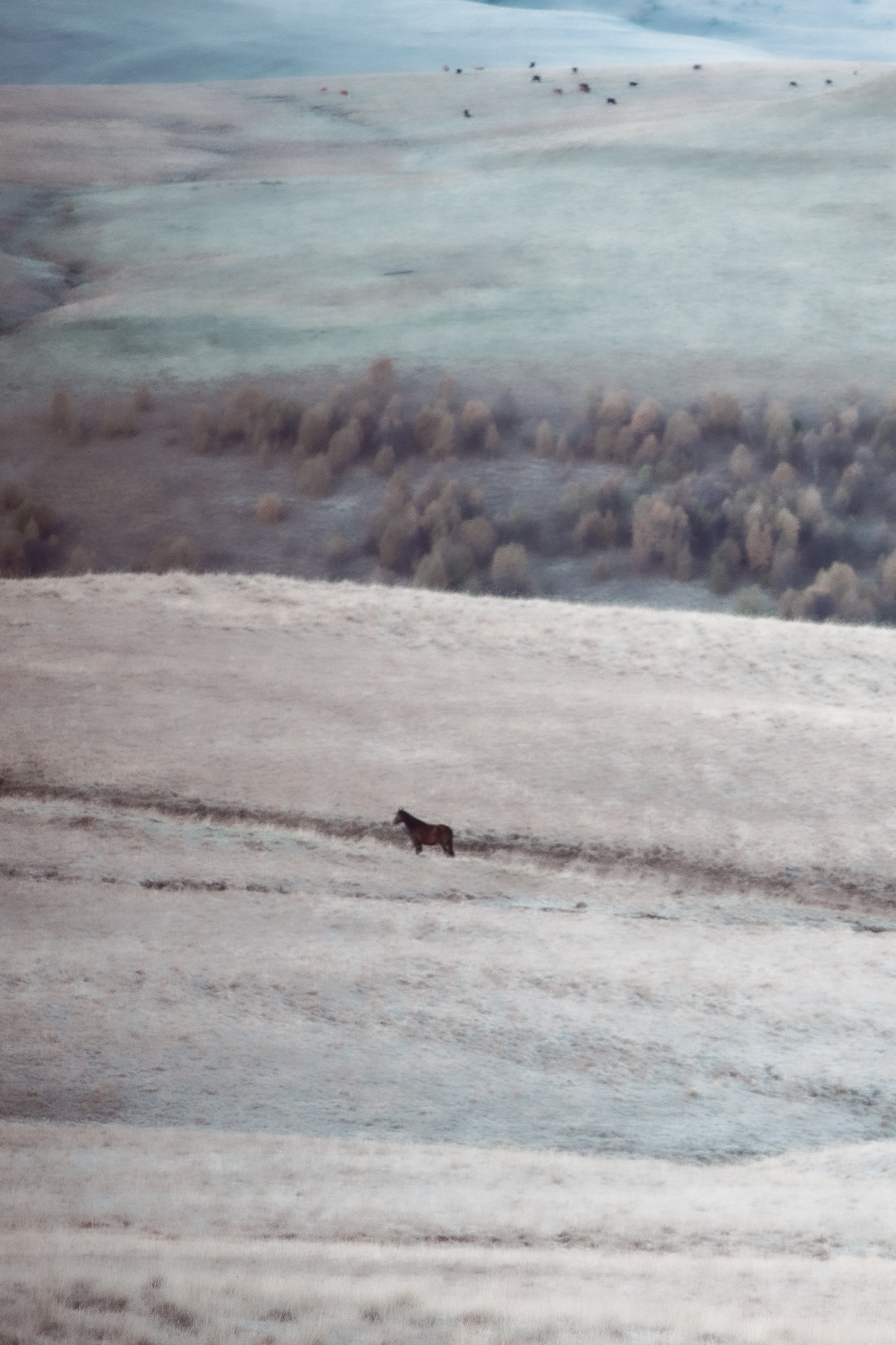 Архив (2021-2025). Liudmila Bogdanova Photography | Mila Dozhd