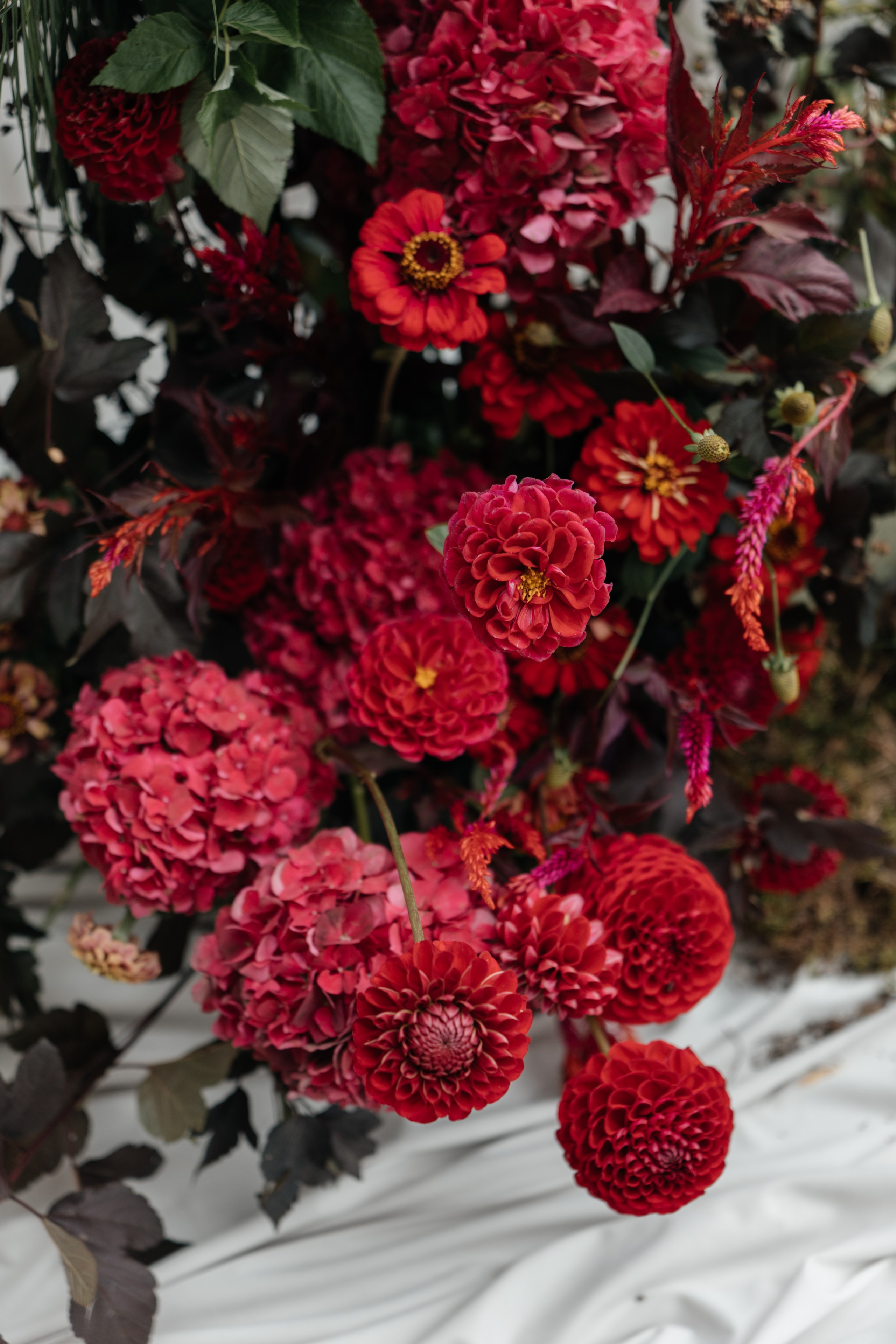 DENIS & MARIA. Свадебное ФОТО & ВИДЕО Москва/Липецк