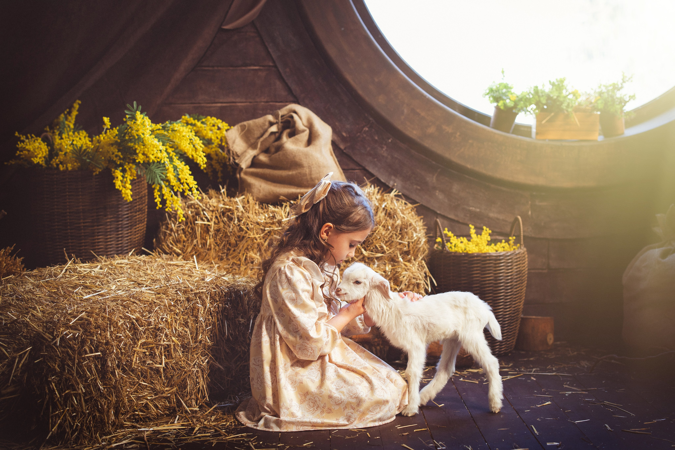 Пасхальный фотопроект с козочкой и утятами, в фотостудии «Эль» 2024 г. Семейный и детский фотограф в Краснодаре Анна Трашкова